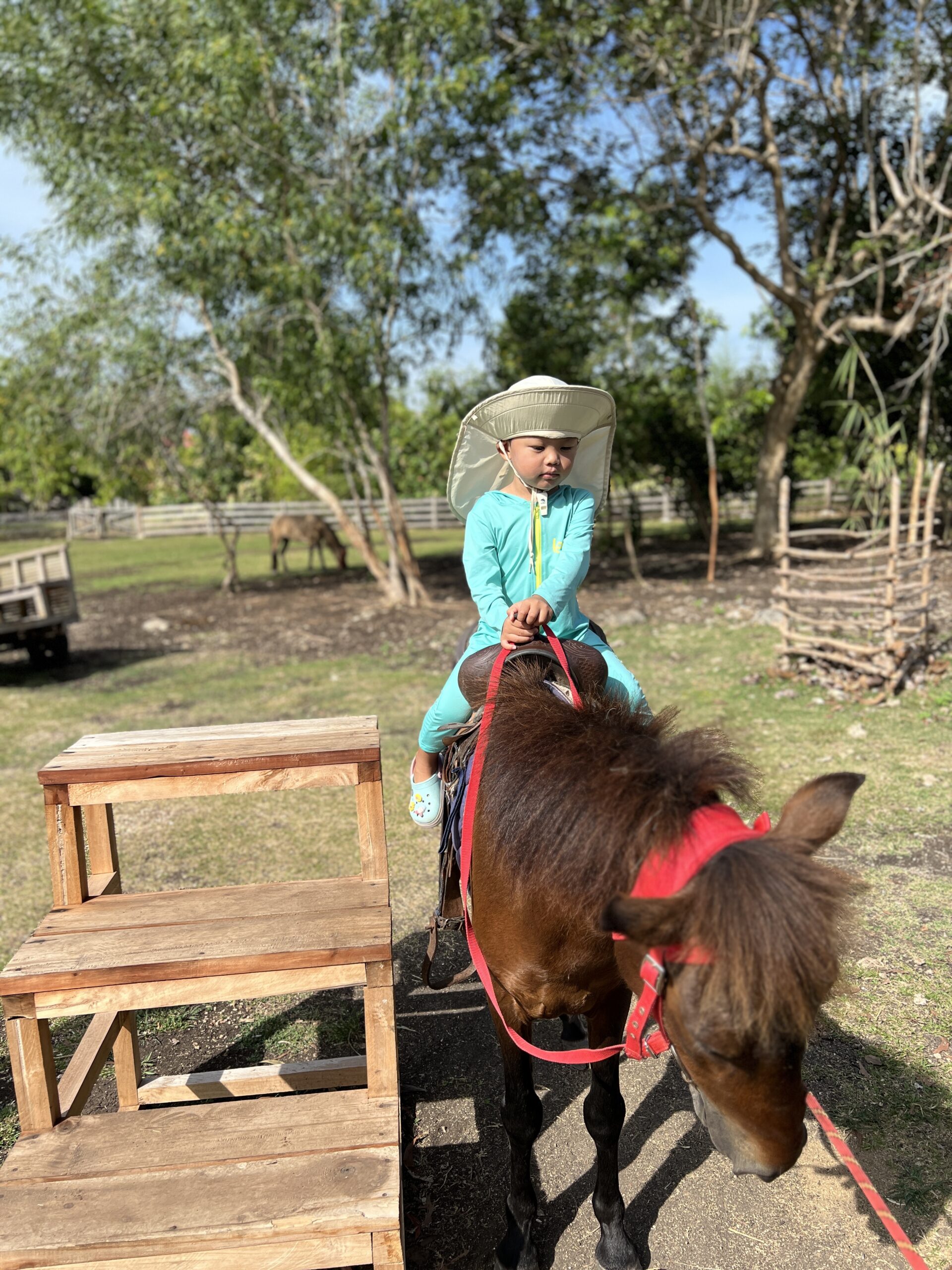 서진이 말타기 체험