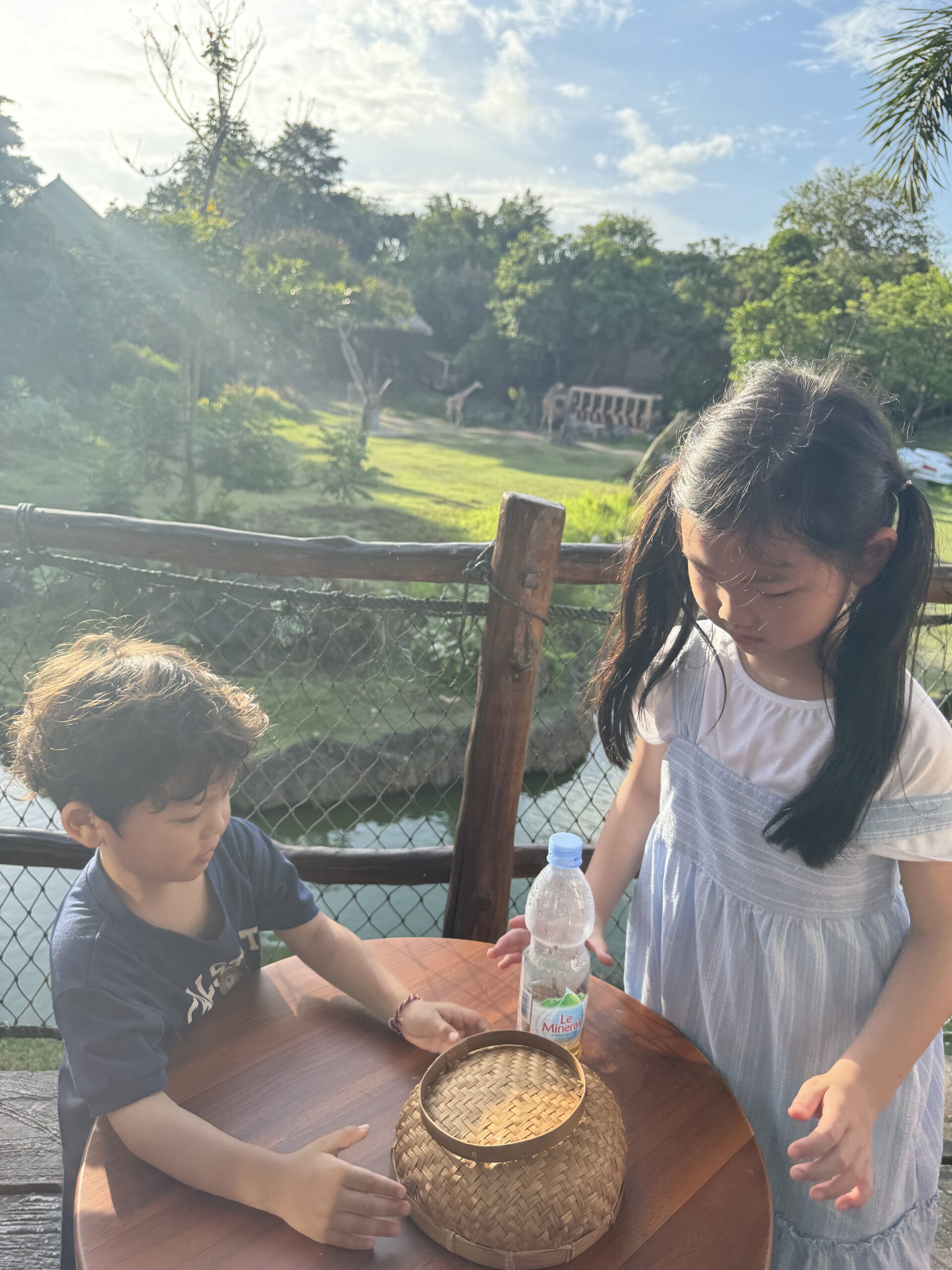 숙소 발코니에서 보이는 사파리 풍경