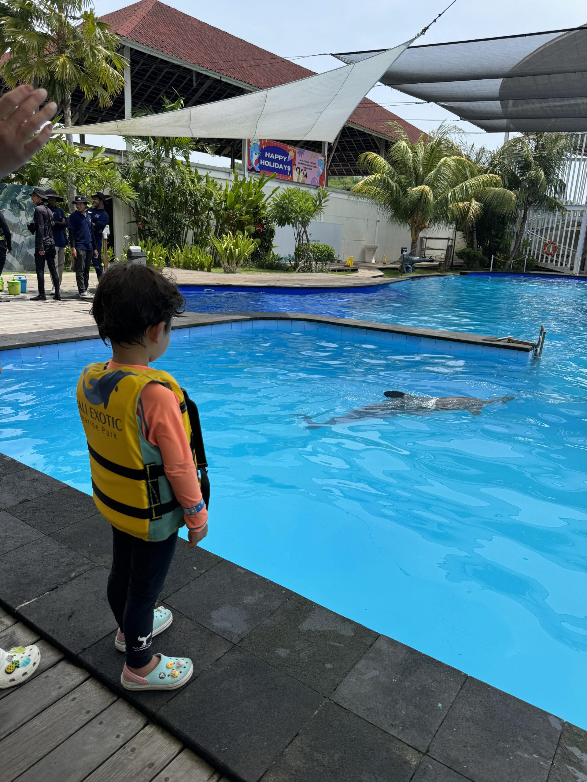 마린파크 풀장에서 돌고래를 바라보는 서진이