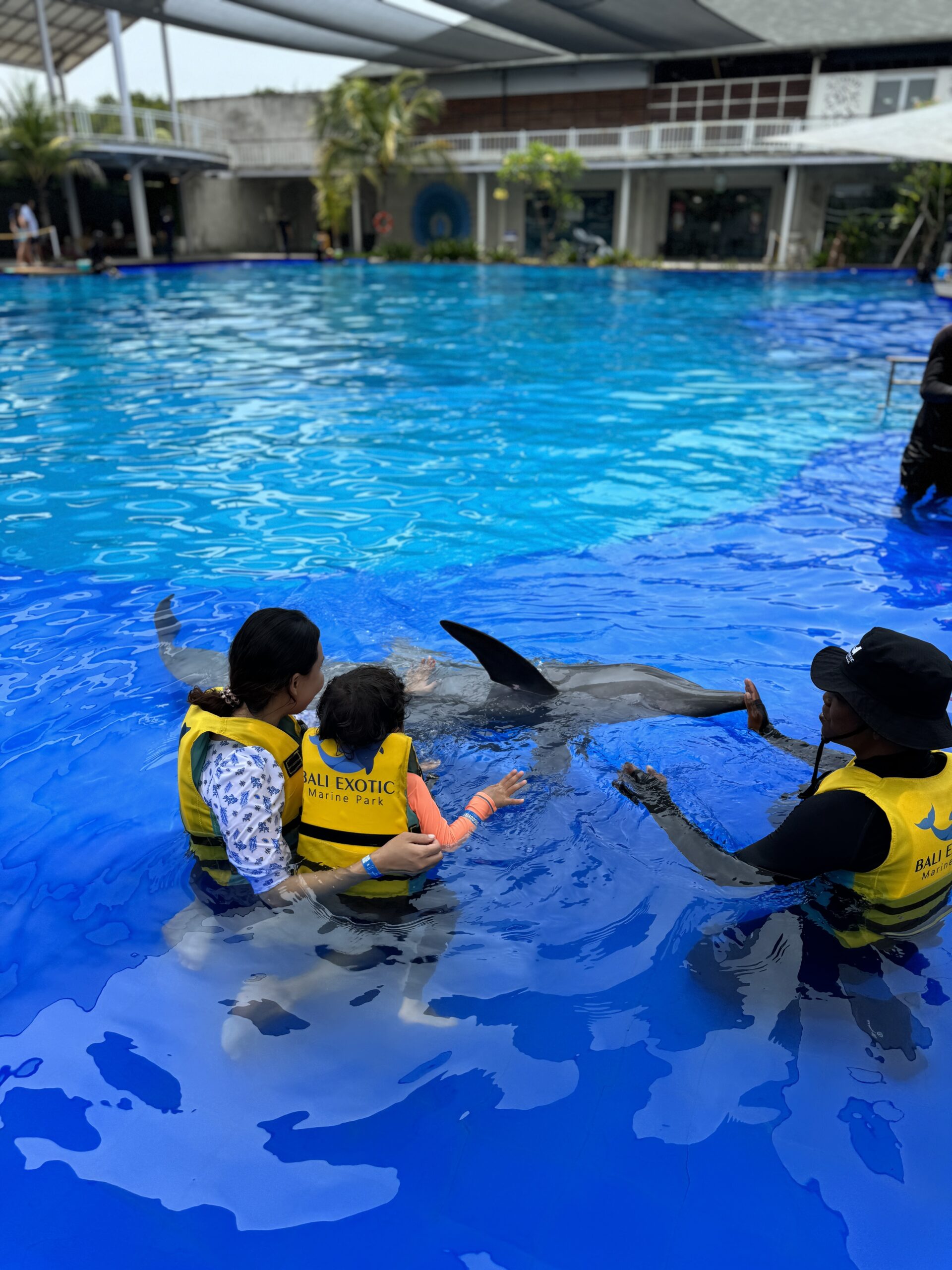 엄마와 서진이 돌고래와 수영