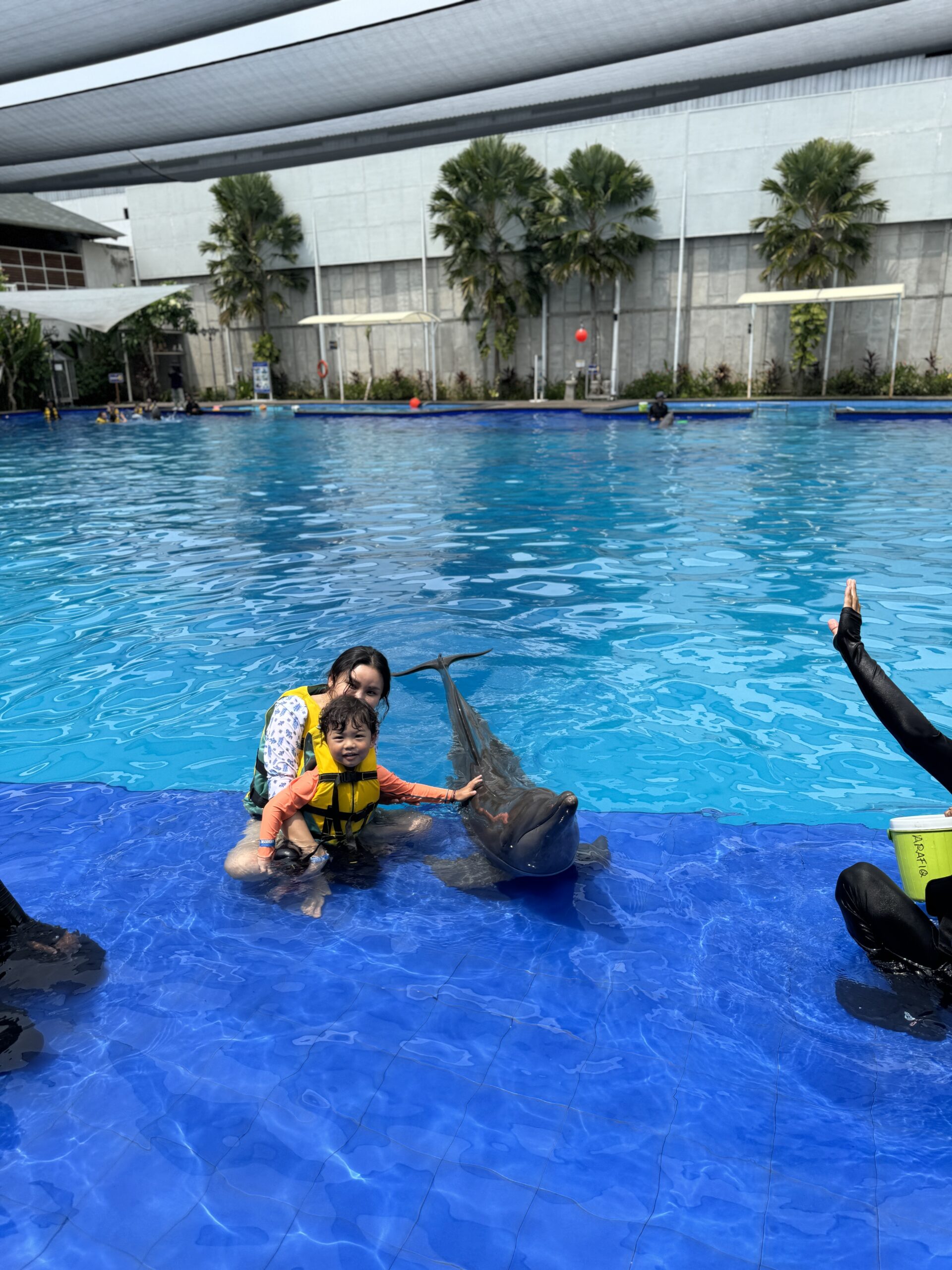 돌고래를 만지는 엄마와 서진이