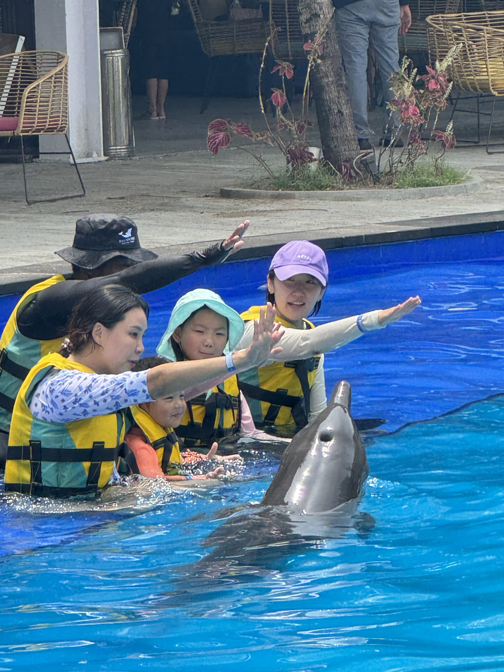 돌고래 점프와 함께 사진