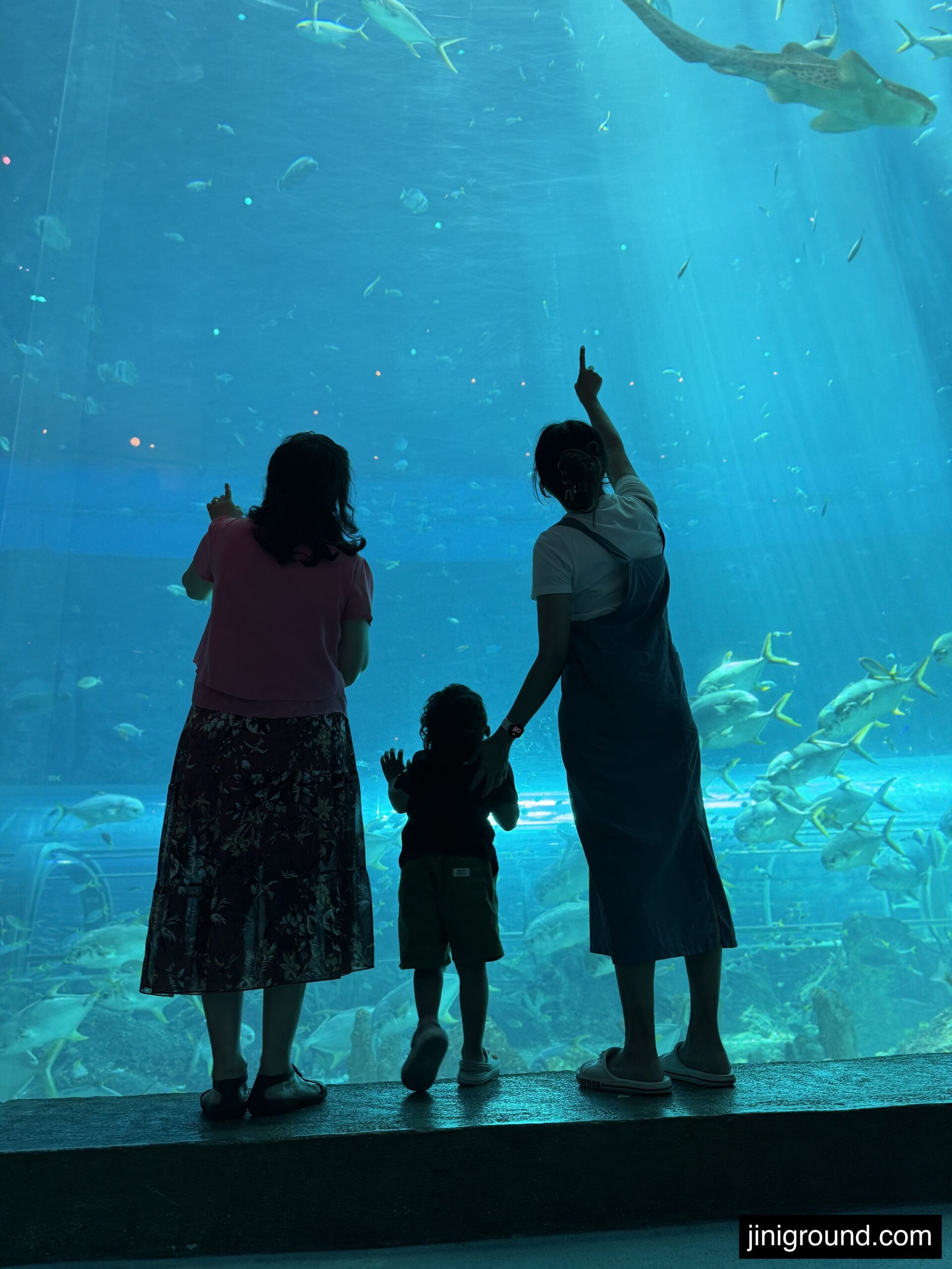 Family viewing large aquarium tanks with sharks and marine fish VinWonders