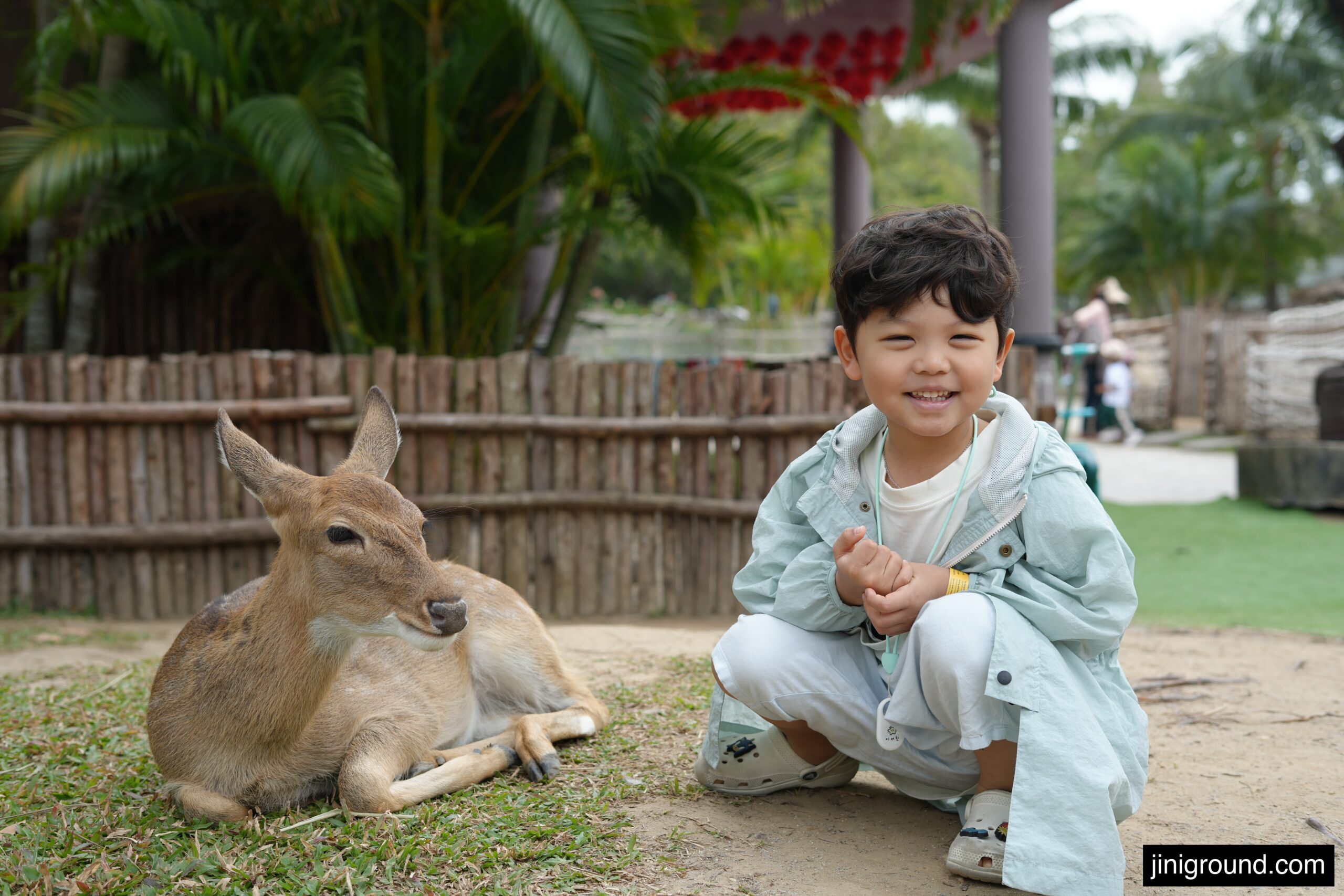 56 month old boy sitting next to baby deer at VinWonders zoo Nha Trang Vietnam