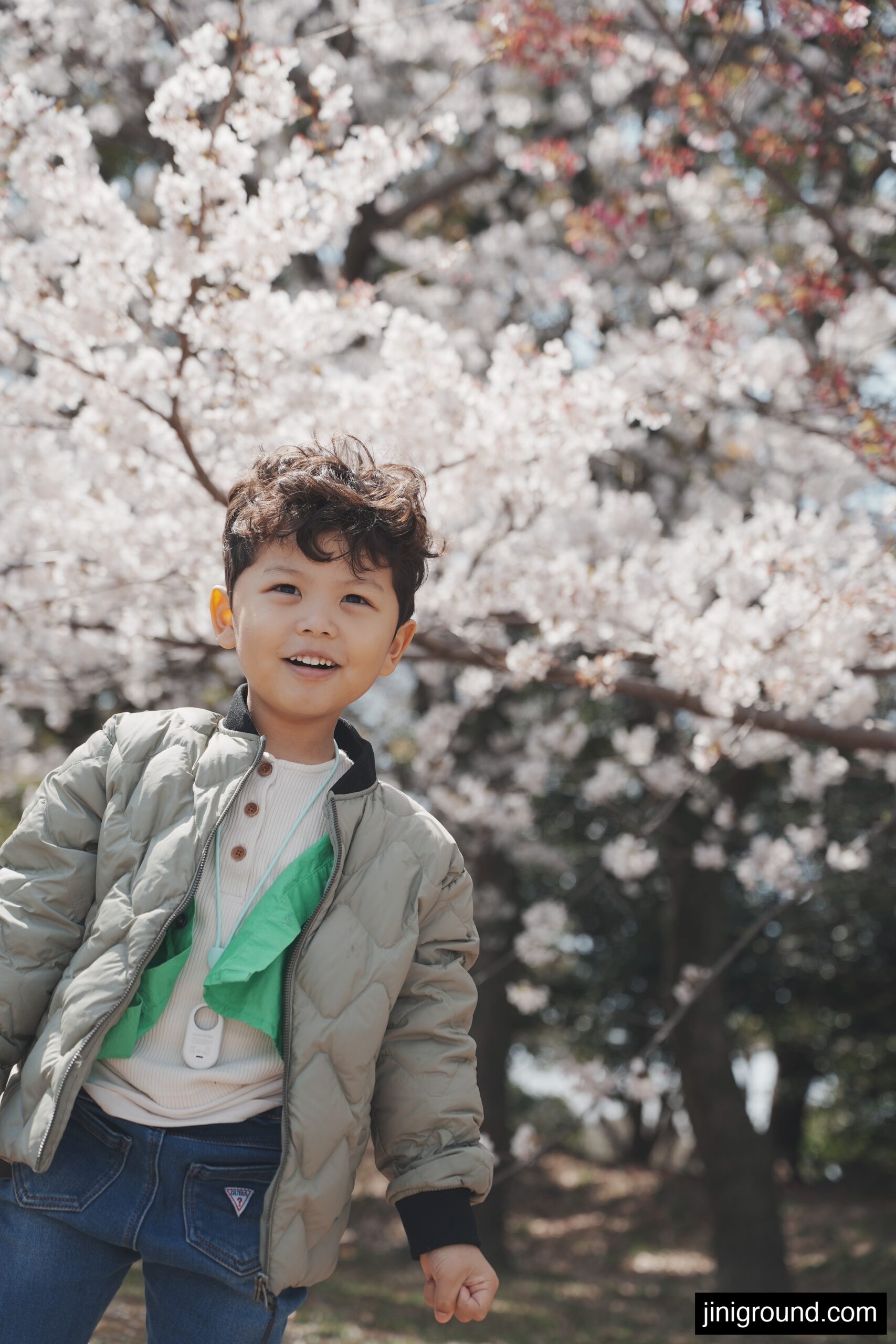 Happy boy smiling under full bloom cherry blossom tree at Ohori Park Fukuoka spring