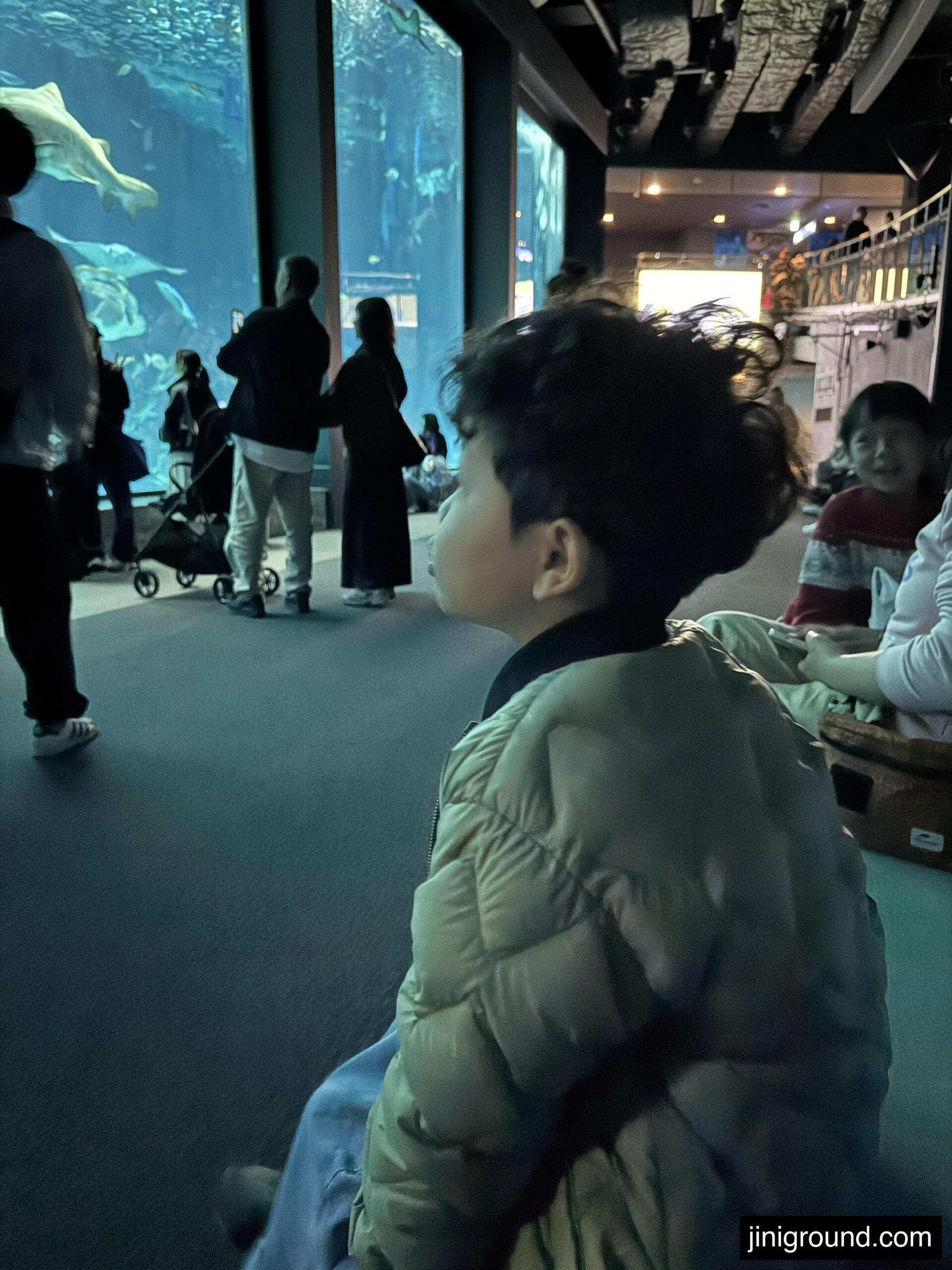 Boy gazing at large aquarium tank with fish and sharks at Marine World Fukuoka