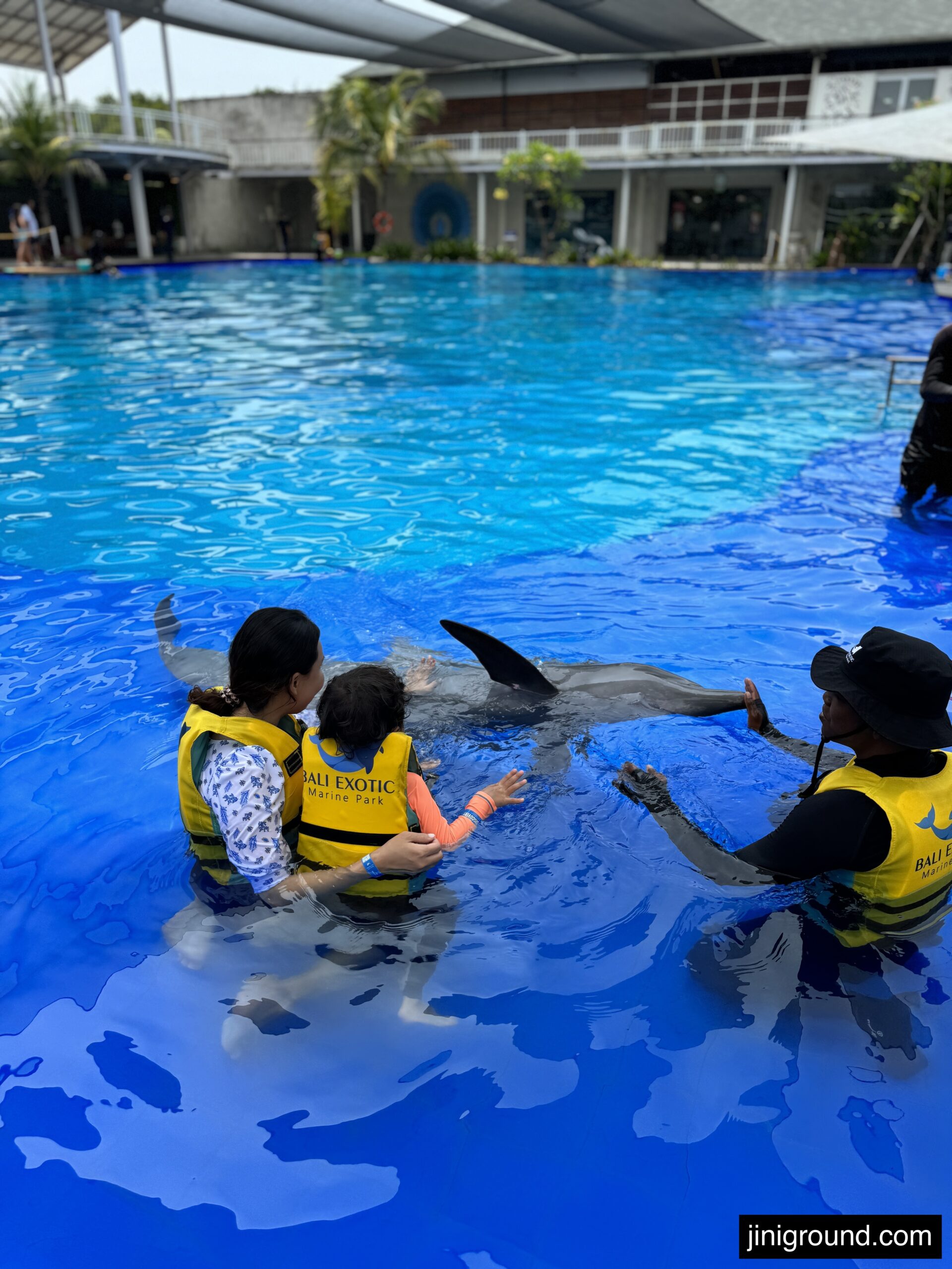 Young child getting close to dolphin face in clear blue marine park pool