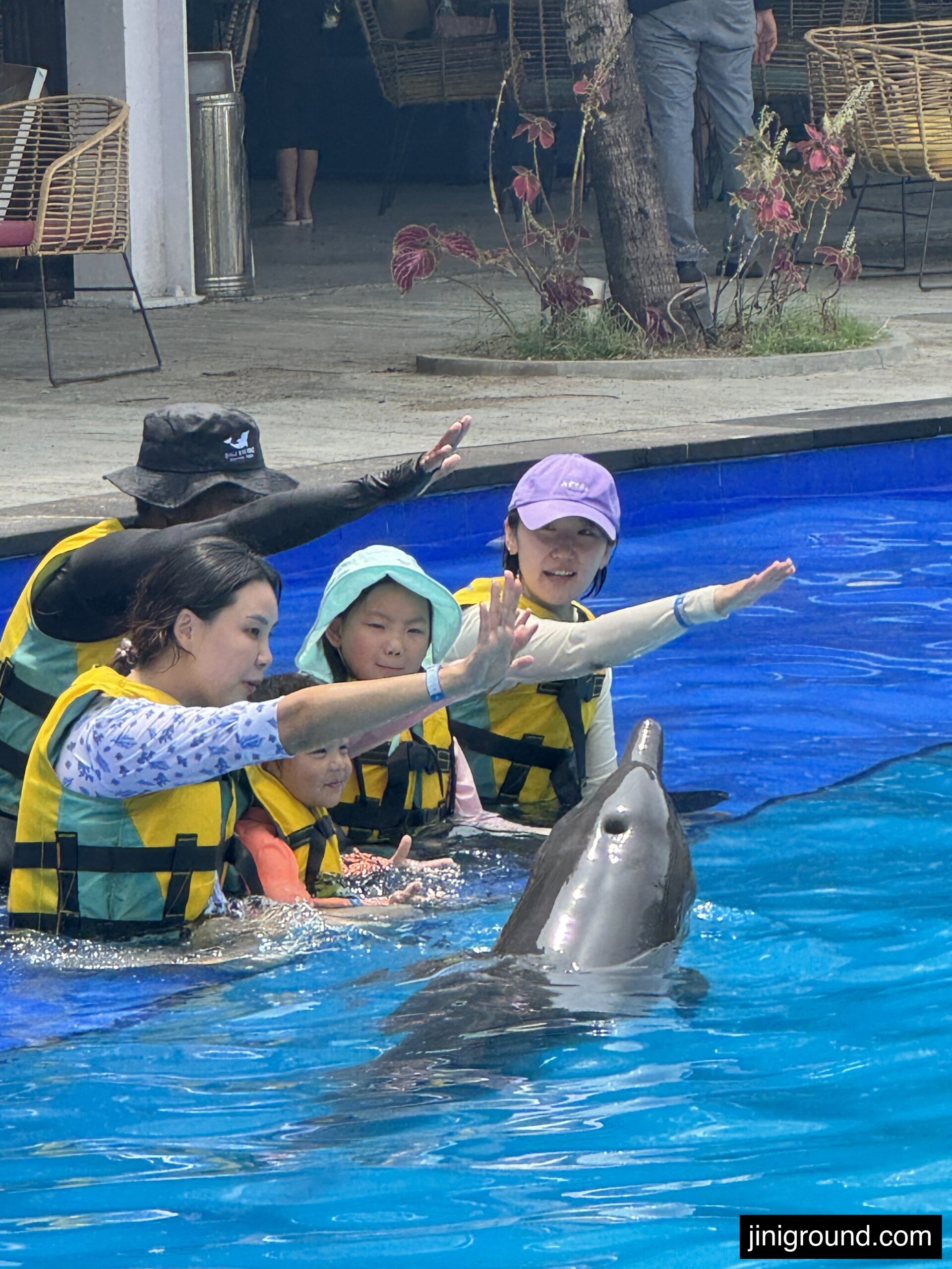 Child reaching out to touch dolphin during hands on swimming experience Bali