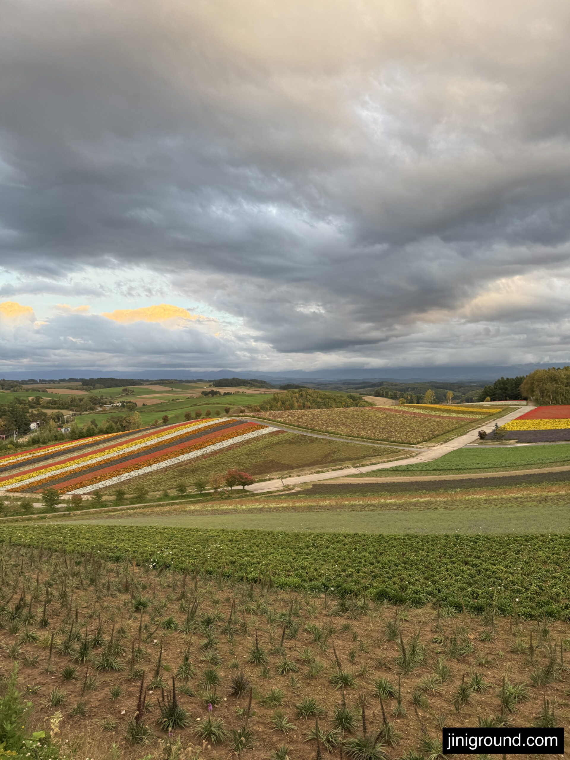 Panoramic view of colorful striped flower fields at Shikisai no Oka Hill Biei Hokkaido