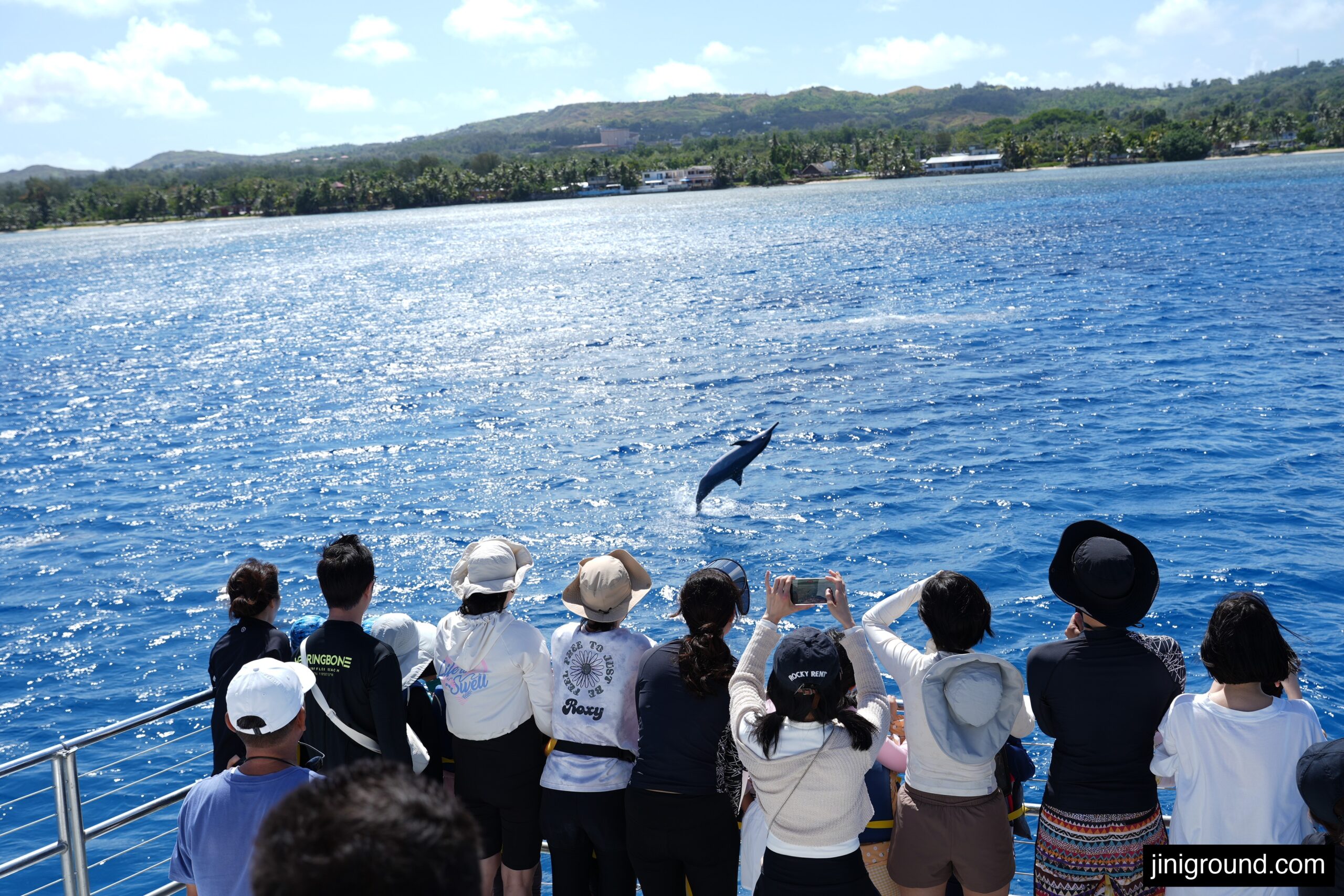 wild dolphin jumping out of ocean during Guam dolphin cruise tour