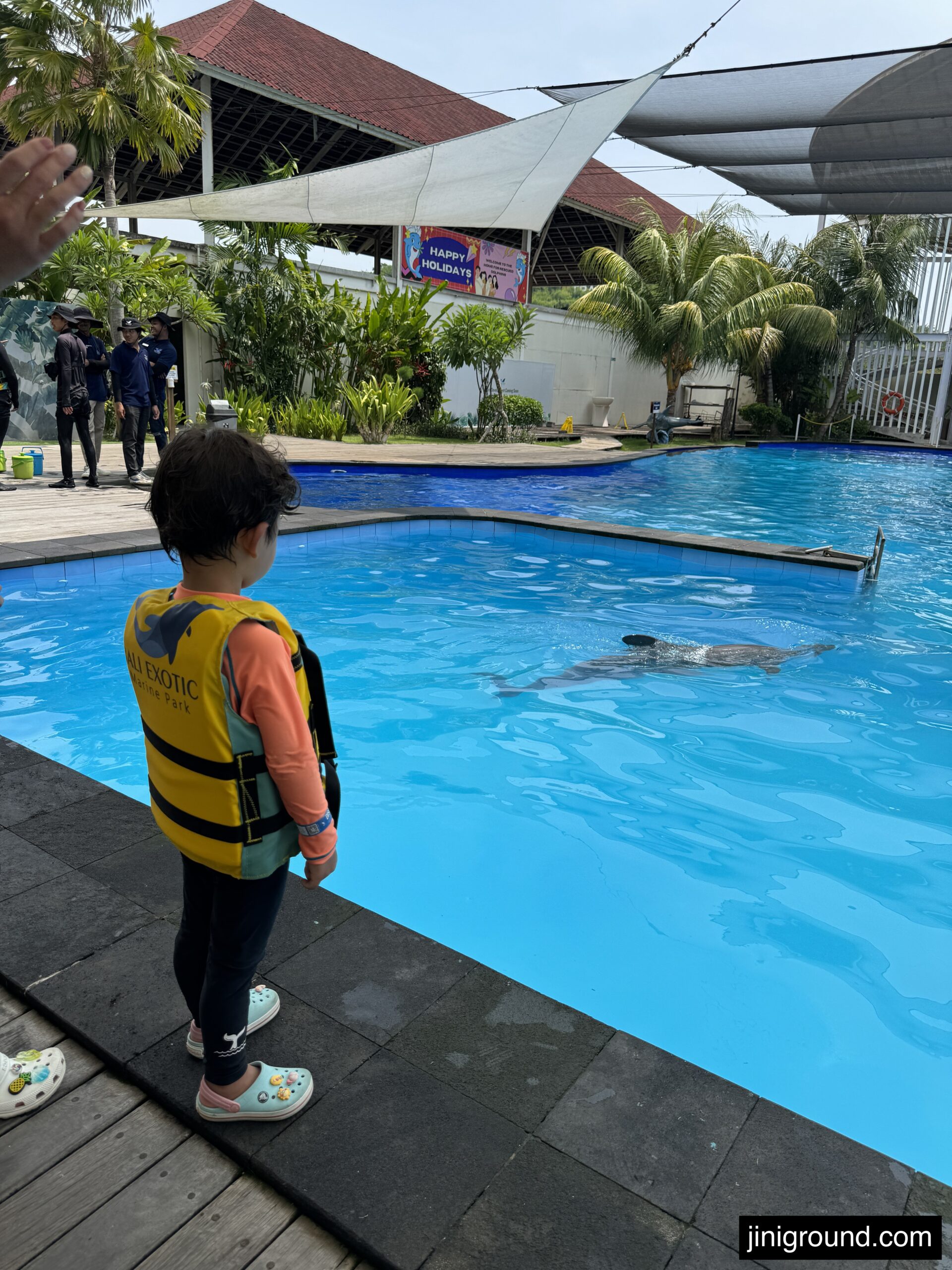 Children interacting with dolphins in bright blue pool at Bali marine park