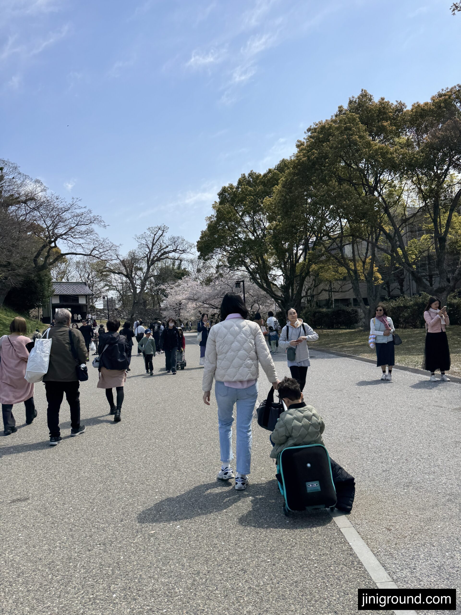 Family walking along cherry blossom lined path at Ohori Park Fukuoka with stroller