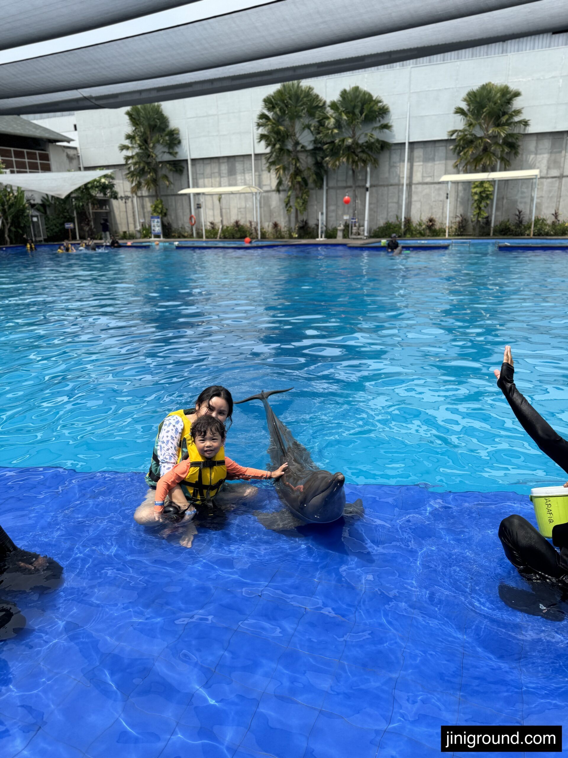 Father swimming with children interacting with friendly dolphin in blue pool