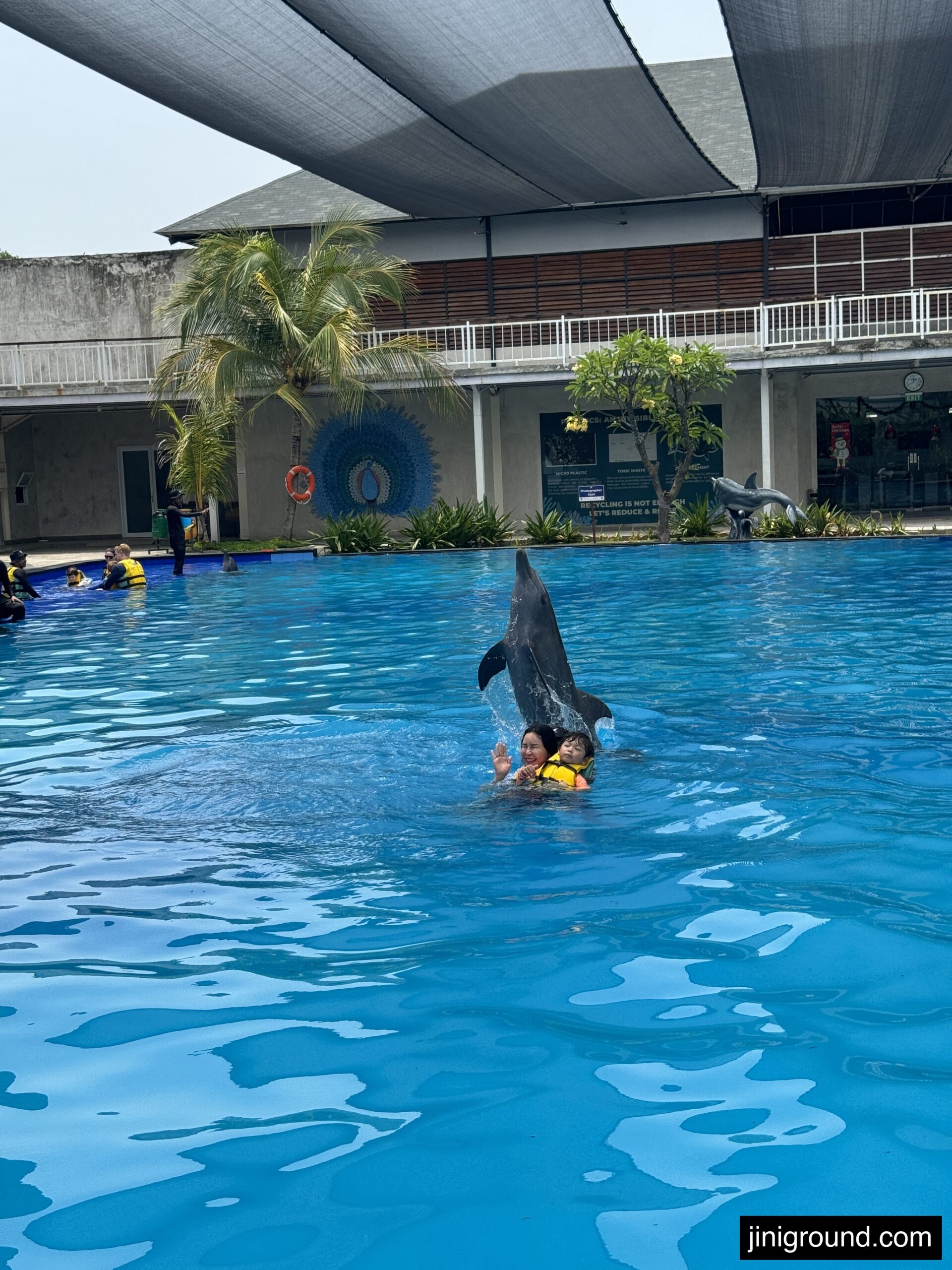 Father kneeling on platform interacting with trained dolphin in marine park