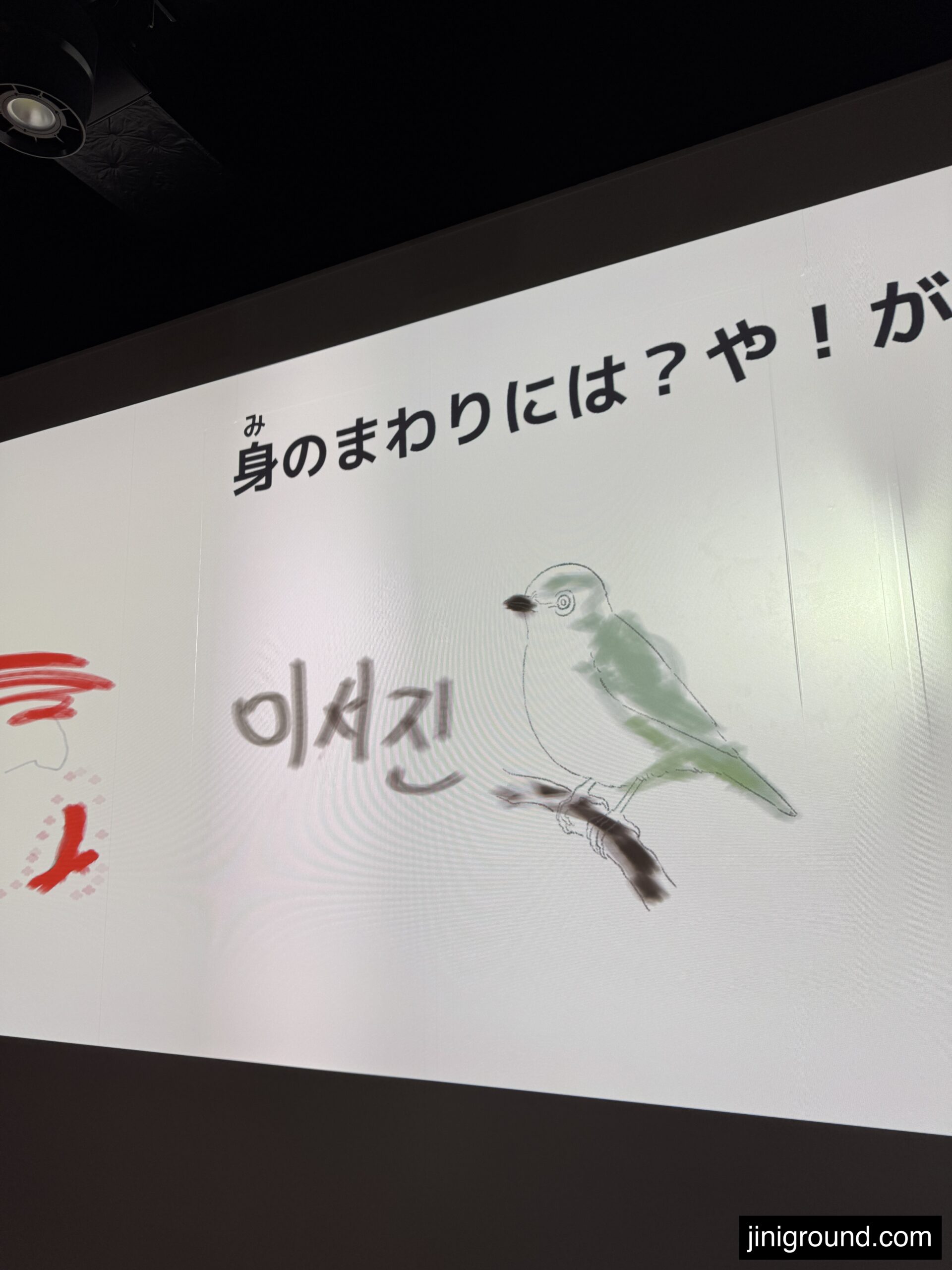 Illuminated insect specimen display panel at Fukuoka City Science Museum Japan