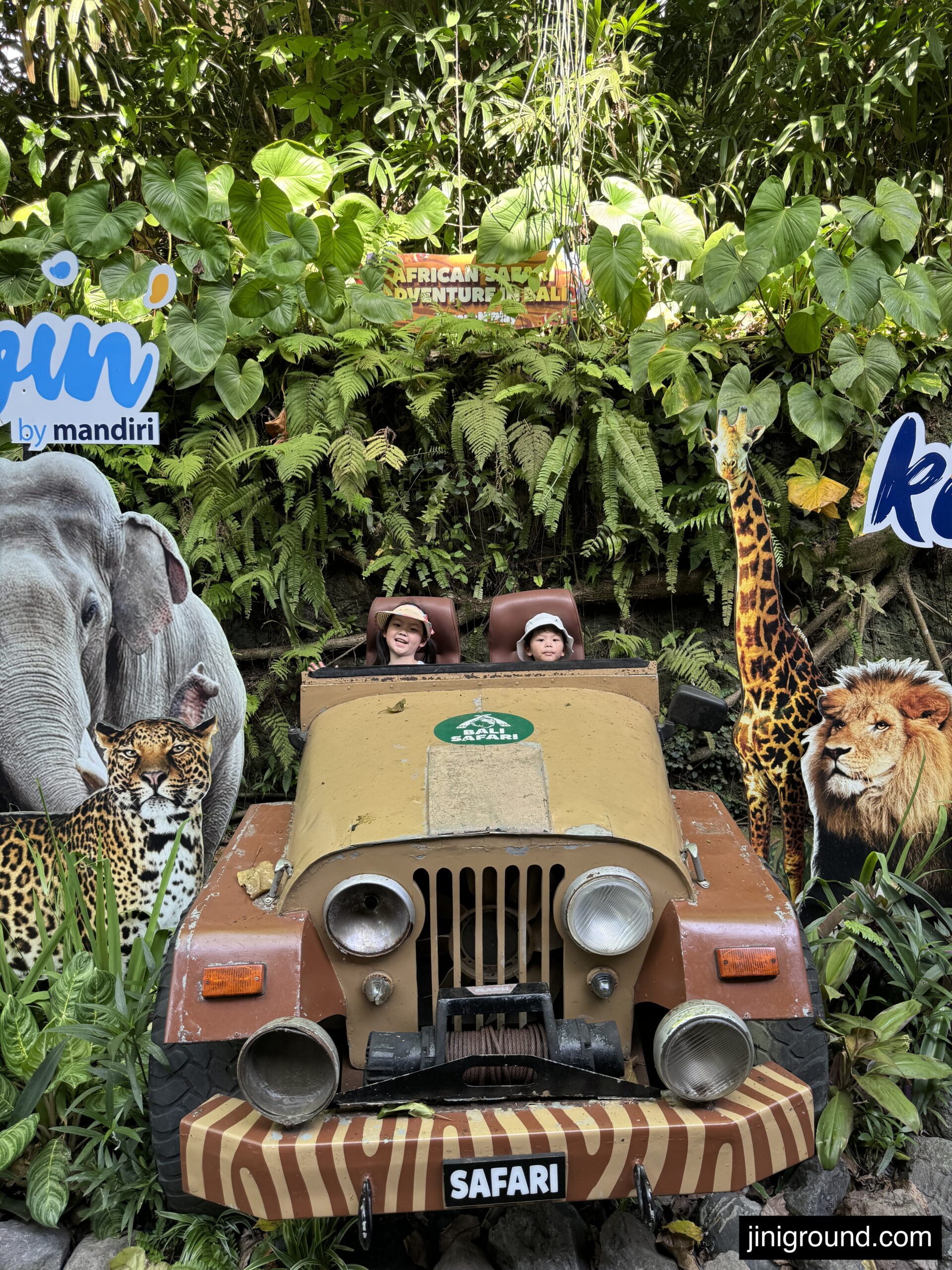 Spotted leopard during jeep safari at Mara River Safari Lodge Bali