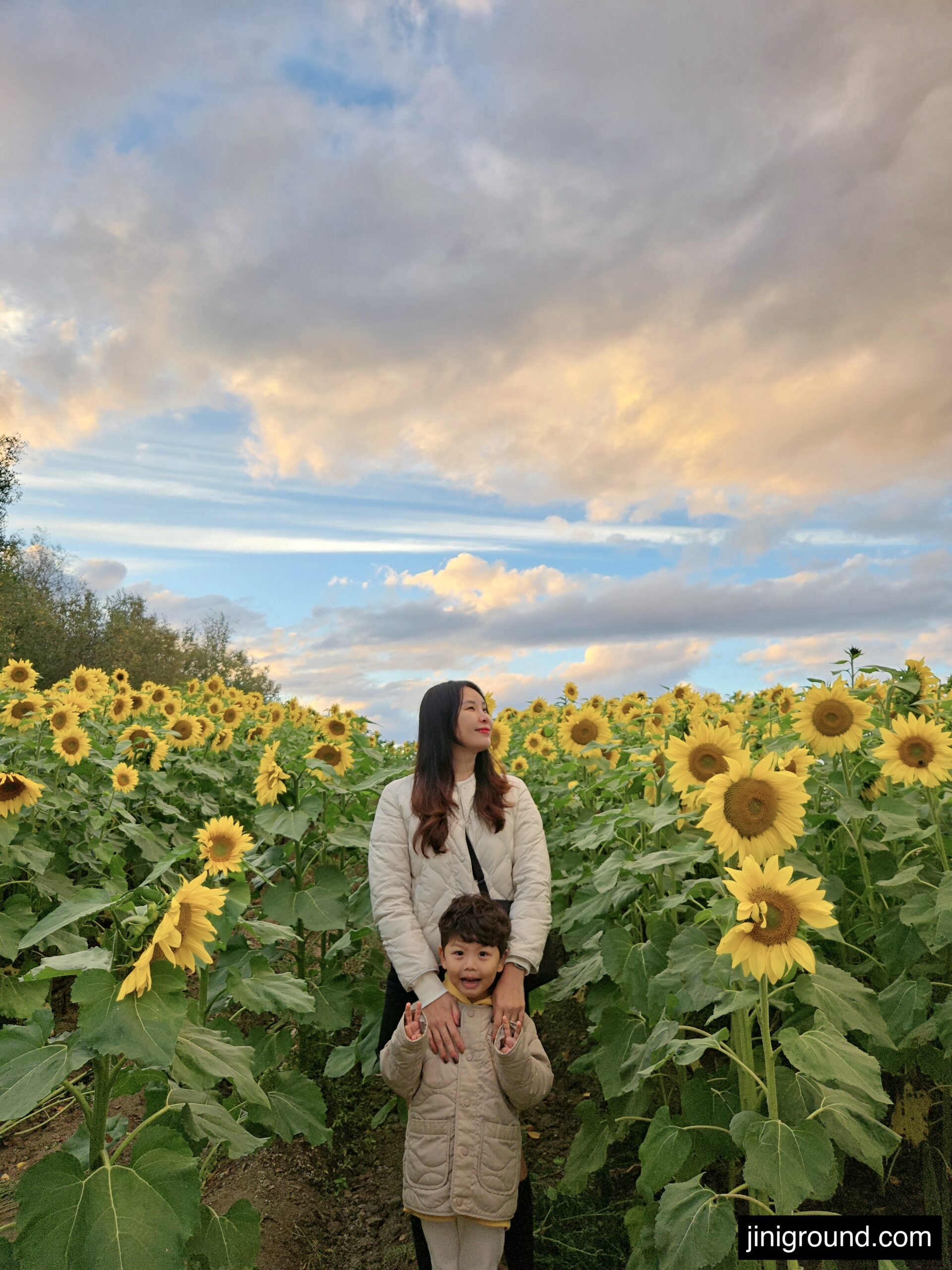 Mother and son standing in sunflower field with dramatic sky at Shikisai no Oka Hokkaido
