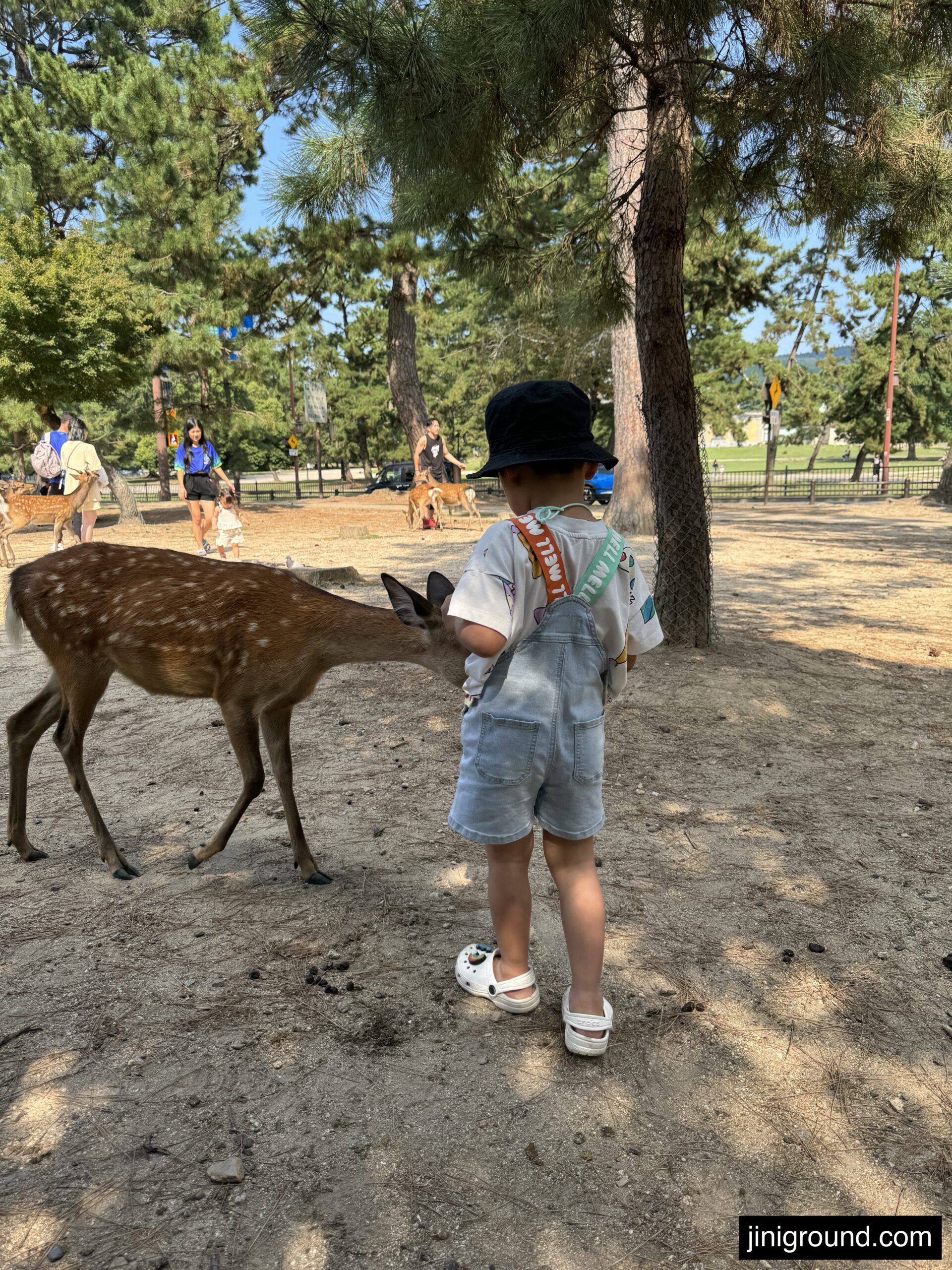 Young child standing near wild deer in scenic Nara Park setting Japan