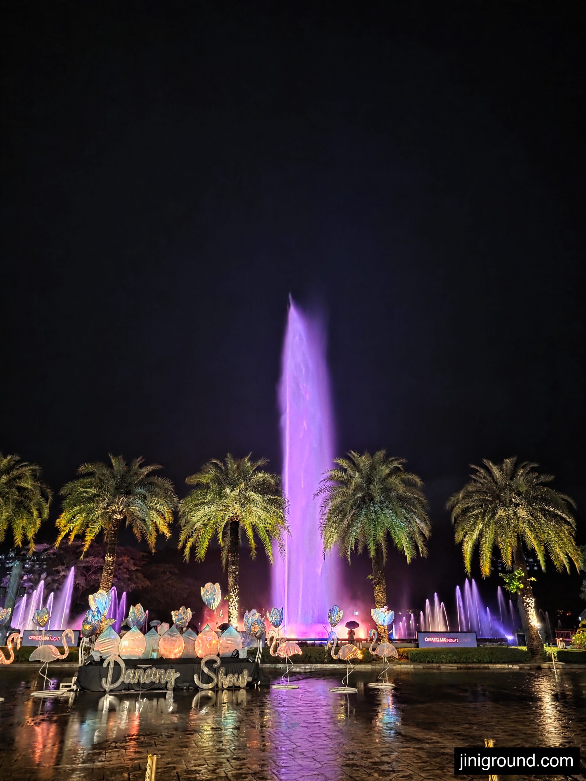 colorful night fountain show with palm trees at Chiang Mai Night Safari Thailand