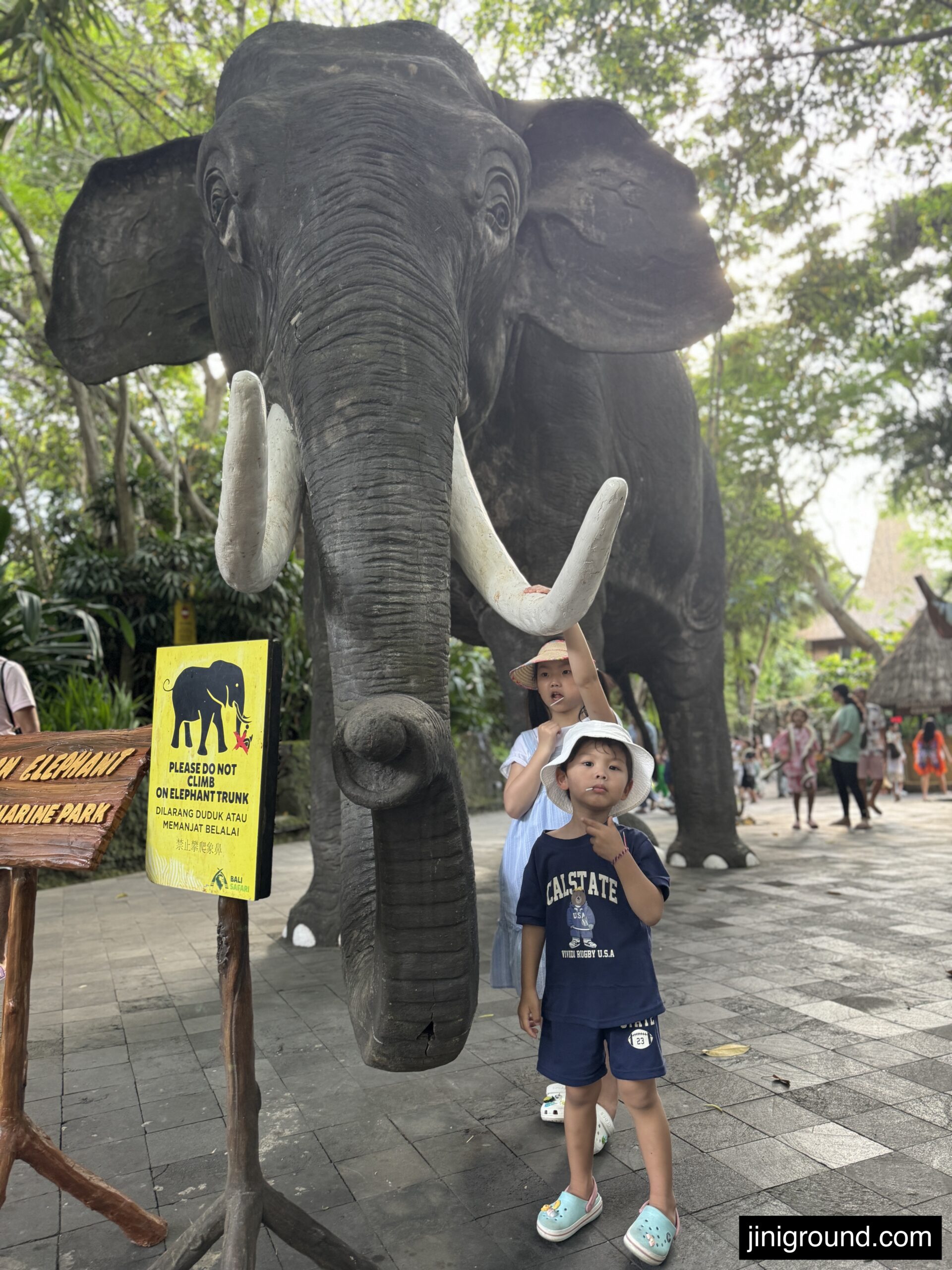 Close up of large elephant with visible tusks during daytime safari encounter