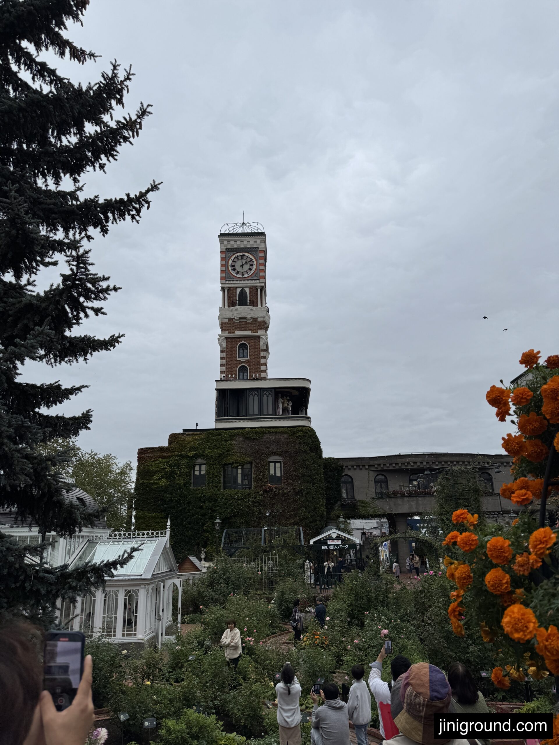 White rabbits in outdoor enclosure at Shiroikoibito Park petting zoo Sapporo