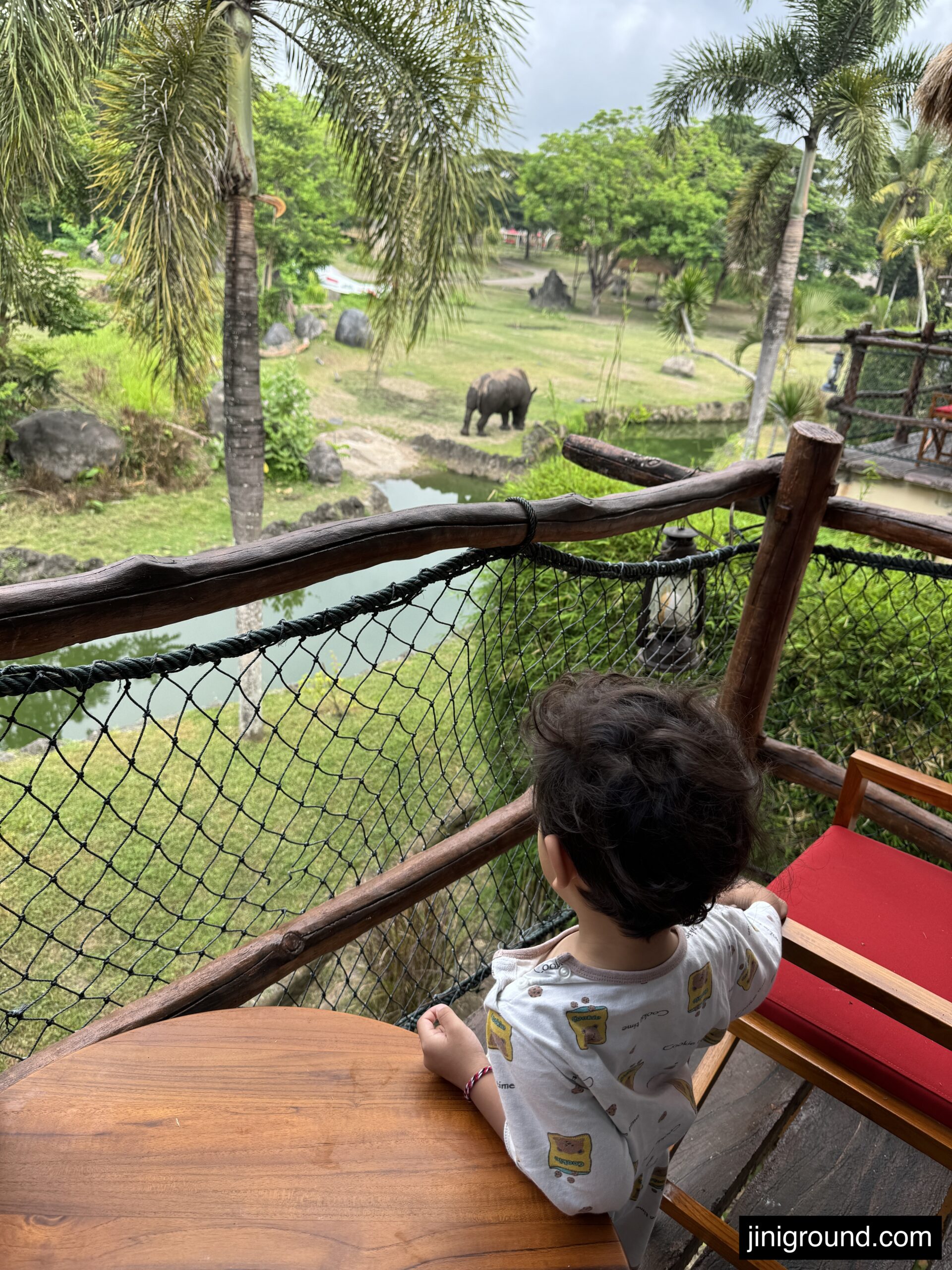 Toddler in white shirt standing on safari lodge wooden deck overlooking nature