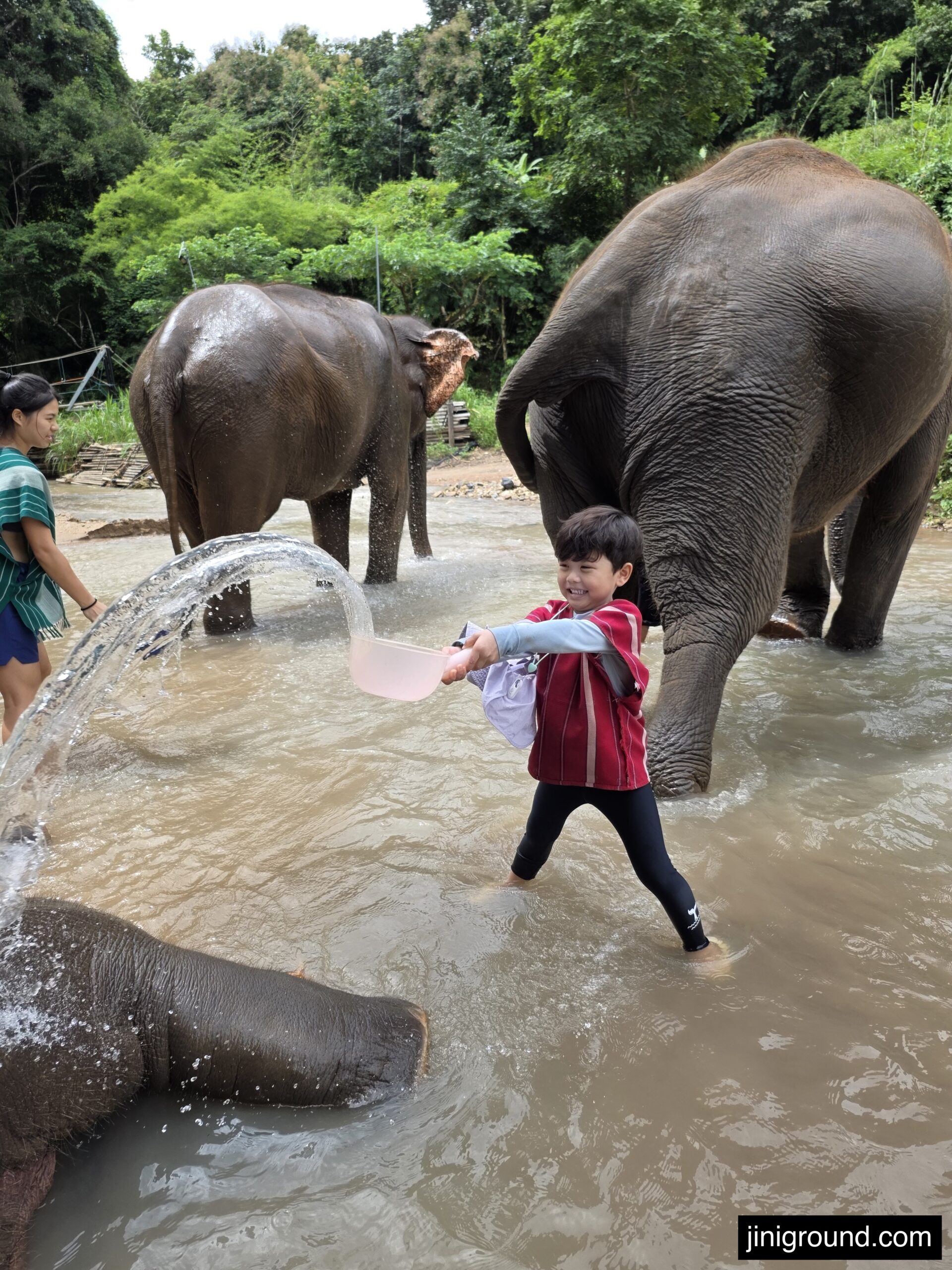 boy bathing elephant with bucket in river at Chiang Mai elephant eco park