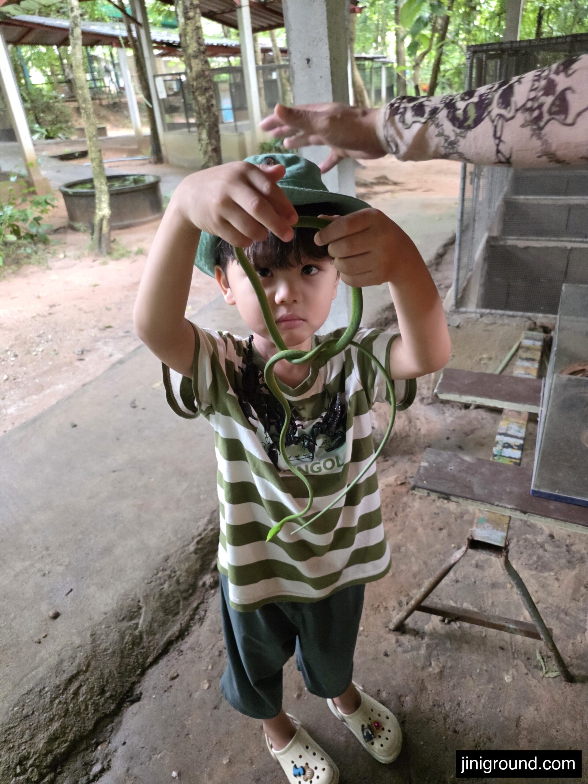 boy closely examining black scorpion on hand at Chiang Mai cobra show