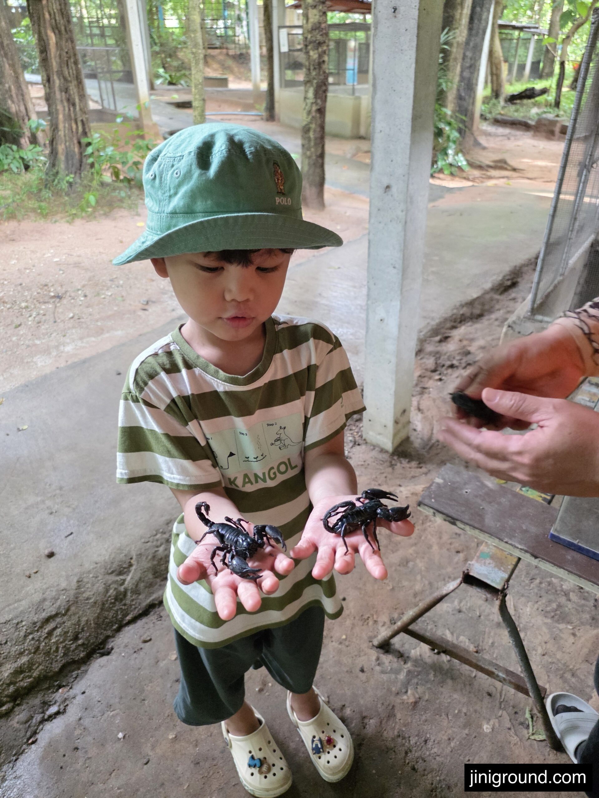 boy holding two scorpions on both hands at Chiang Mai reptile show