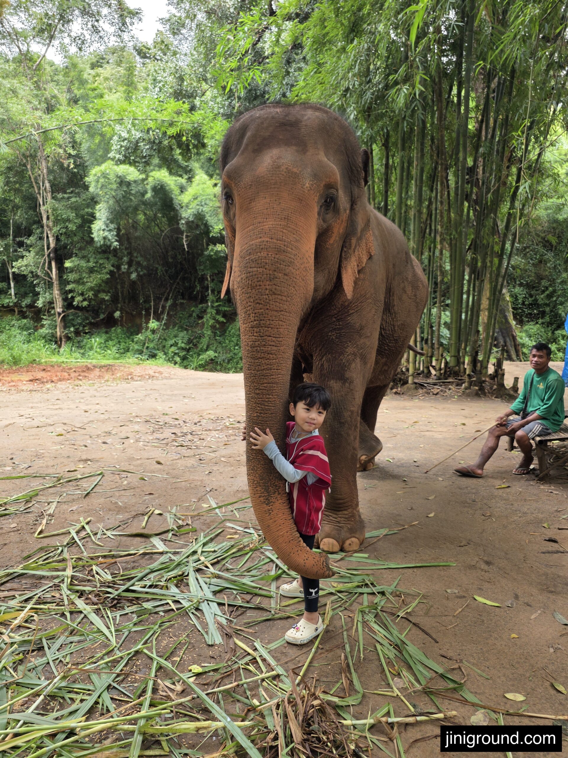 boy hugging elephant body closely at Chiang Mai elephant eco park tour