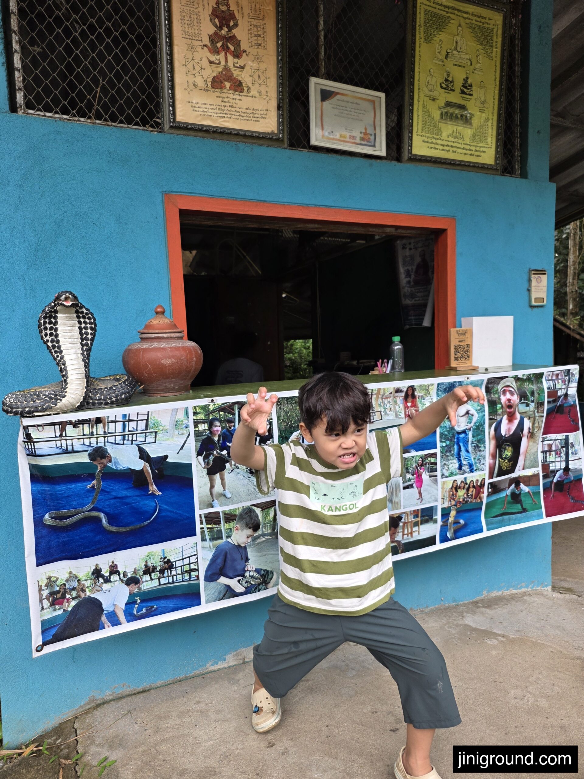 boy looking at photo display board at King Cobra Show Chiang Mai