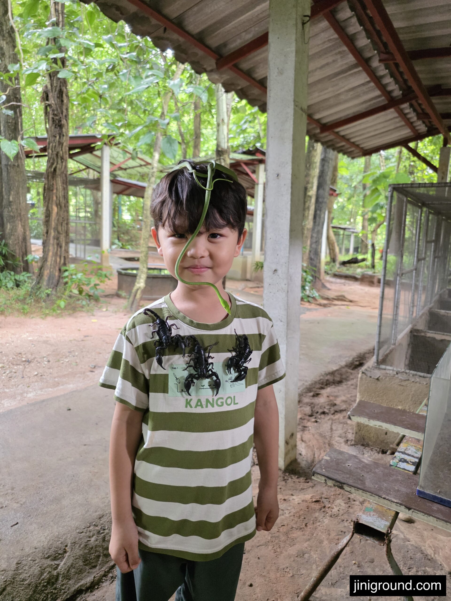 boy with green snake around neck and scorpion in hand Chiang Mai show