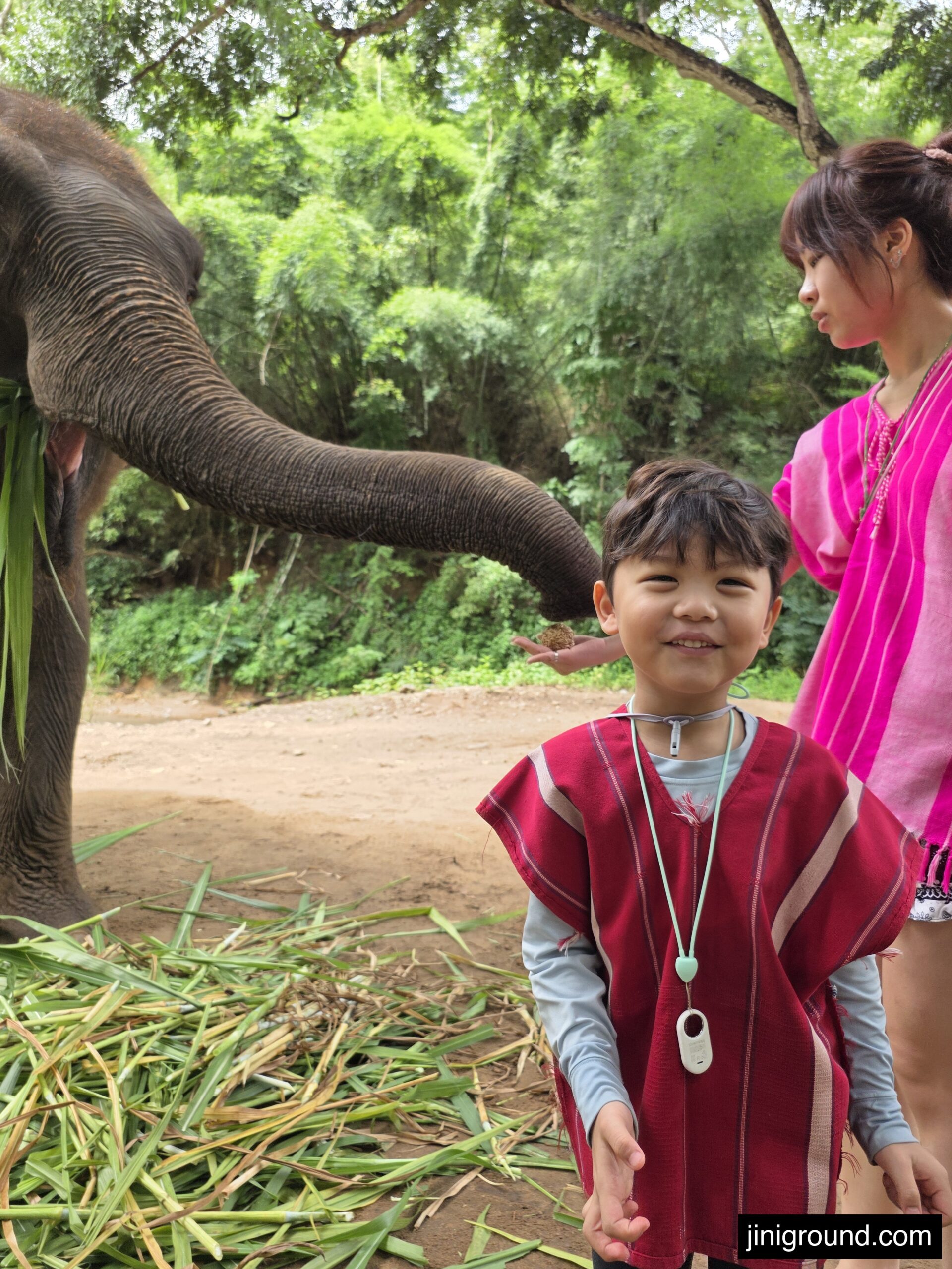 boy smiling as elephant trunk touches his hand at Chiang Mai elephant tour