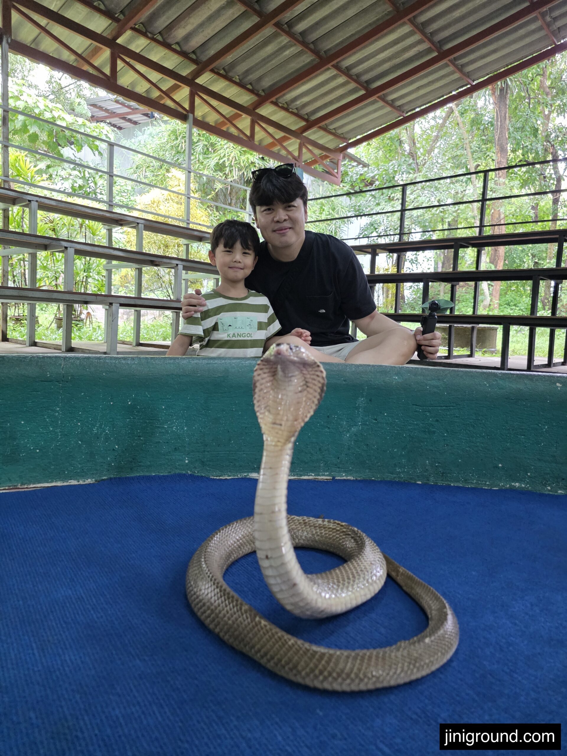 dad and boy posing with king cobra at Chiang Mai cobra show