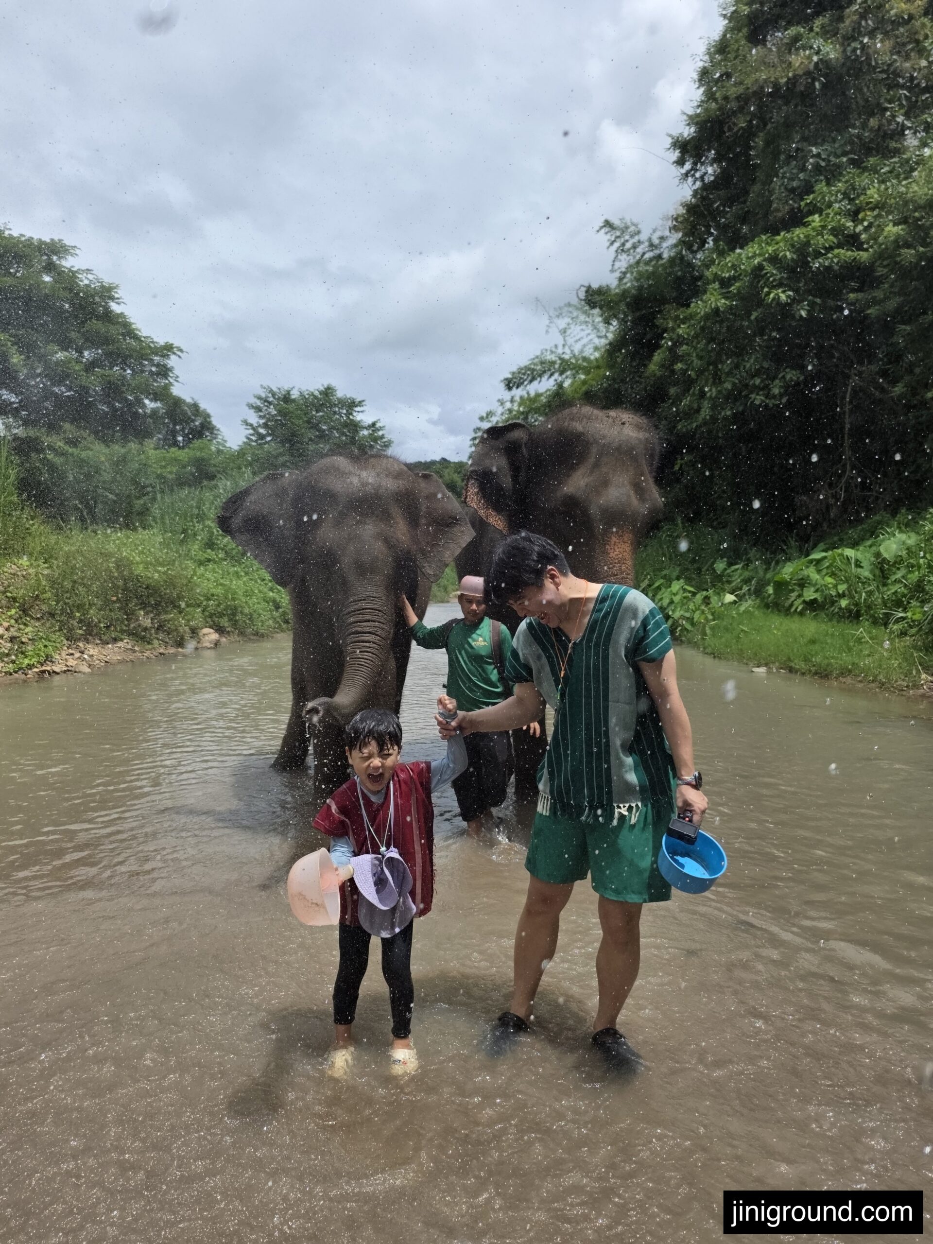 elephant splashing water in river during bathing session Chiang Mai eco park