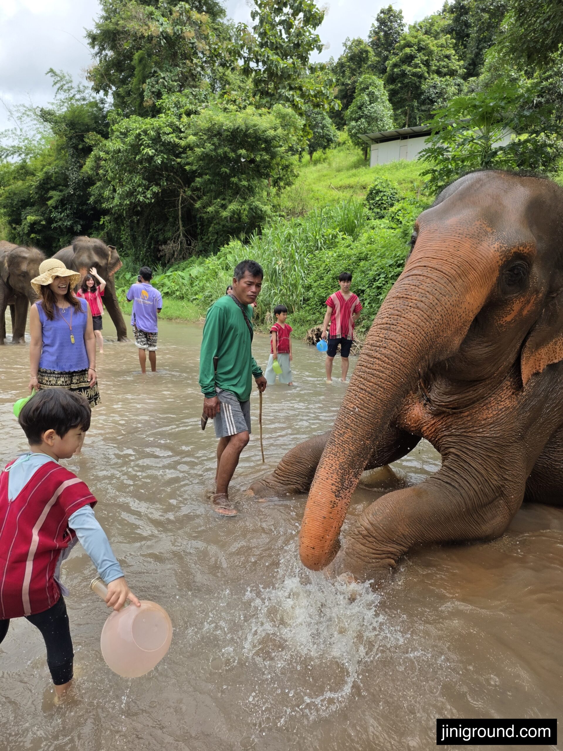 group bathing elephants in river at Chiang Mai elephant eco park with kids