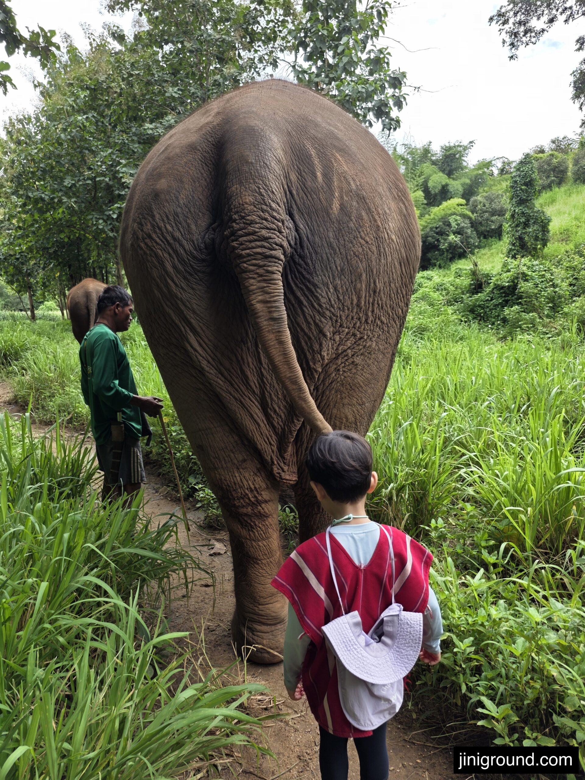 boy walking alongside elephant on jungle path at Chiang Mai elephant eco park