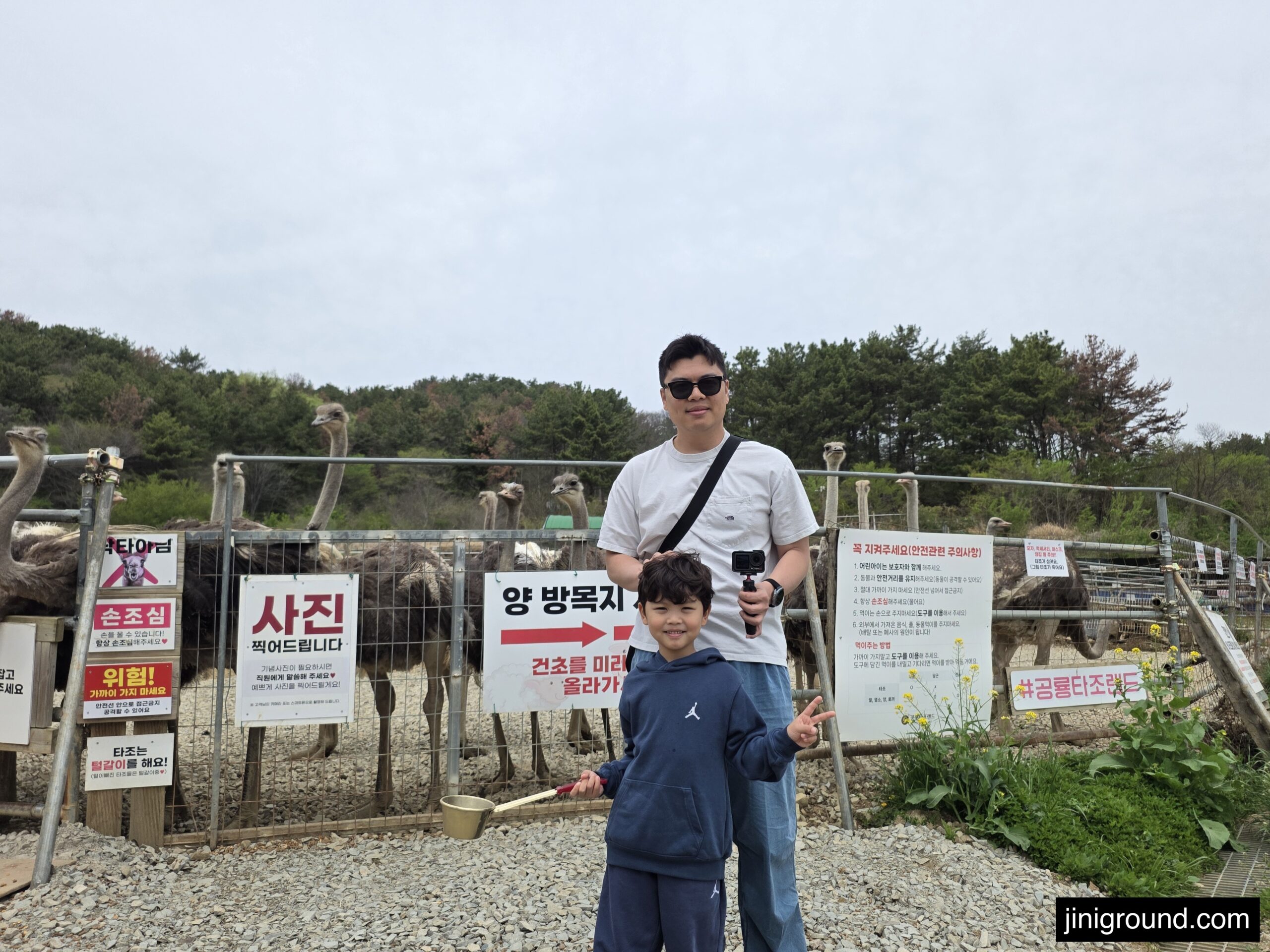 dad and son posing in front of ostrich enclosure at Goseong Dinosaur Ostrich Farm