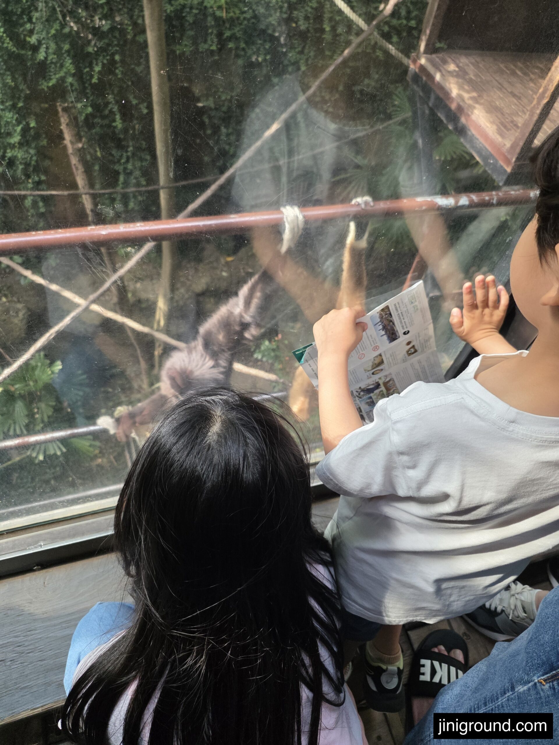 Kids observing primate through glass enclosure at Ueno Zoo Tokyo