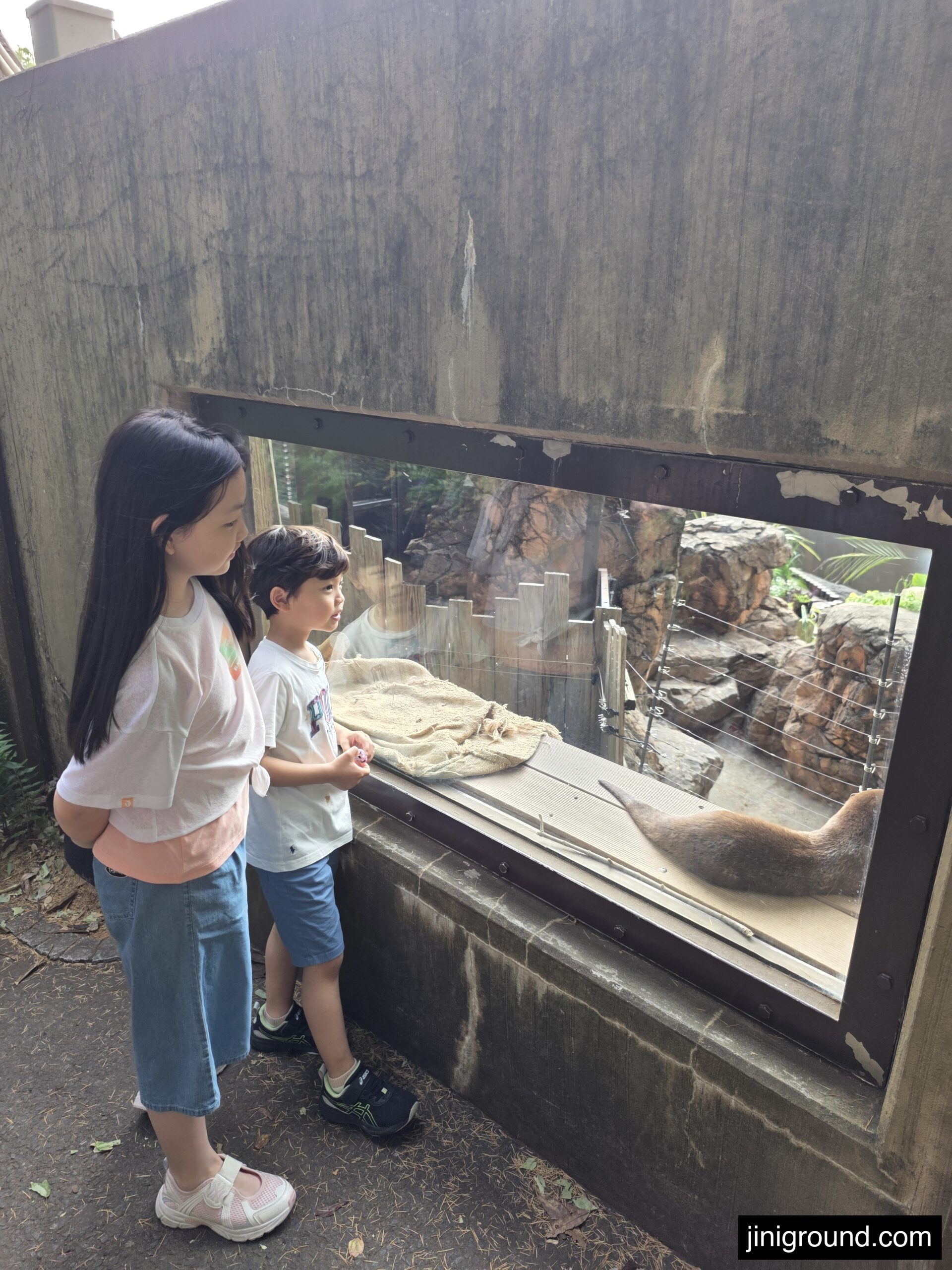 Children watching animal enclosure exhibit at Ueno Zoo Tokyo